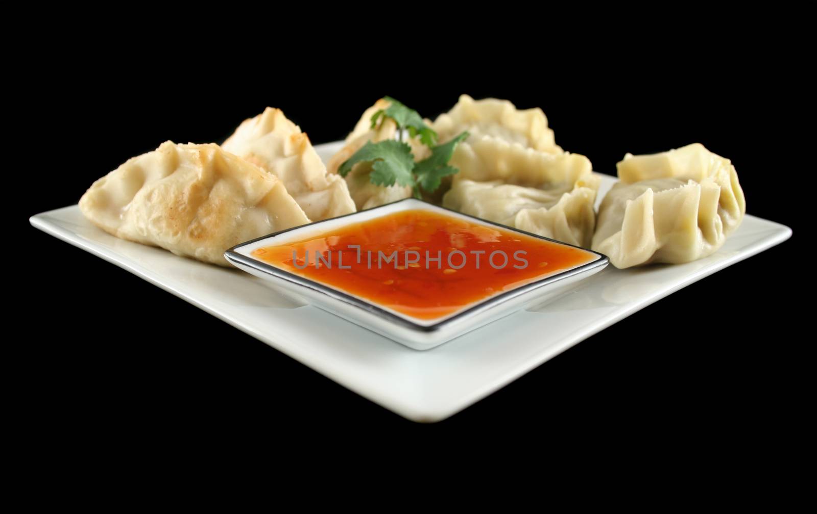 Delicious fried pork and vegetable Chinese dumplings ready to serve.