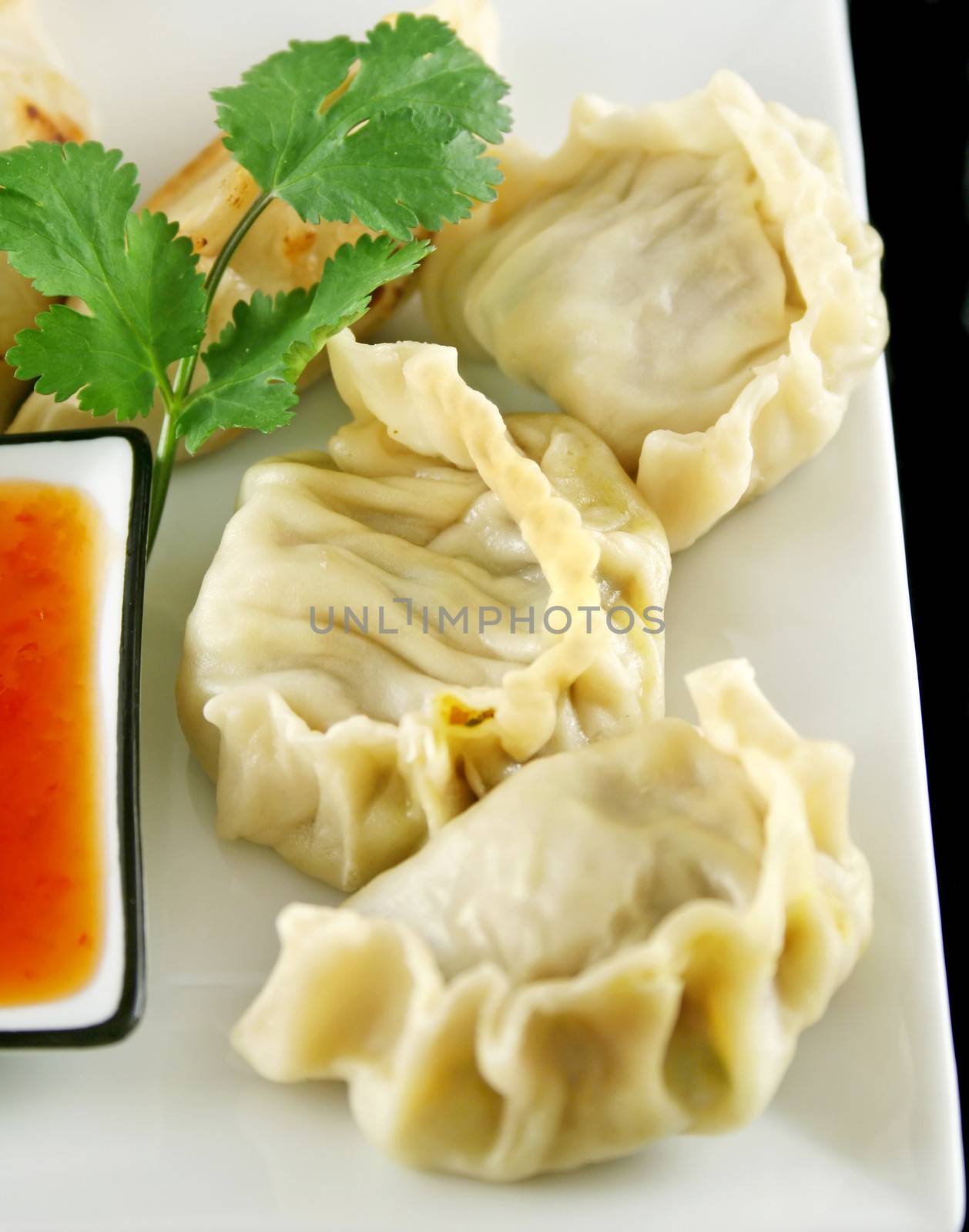 Delicious fried pork and vegetable Chinese dumplings ready to serve.