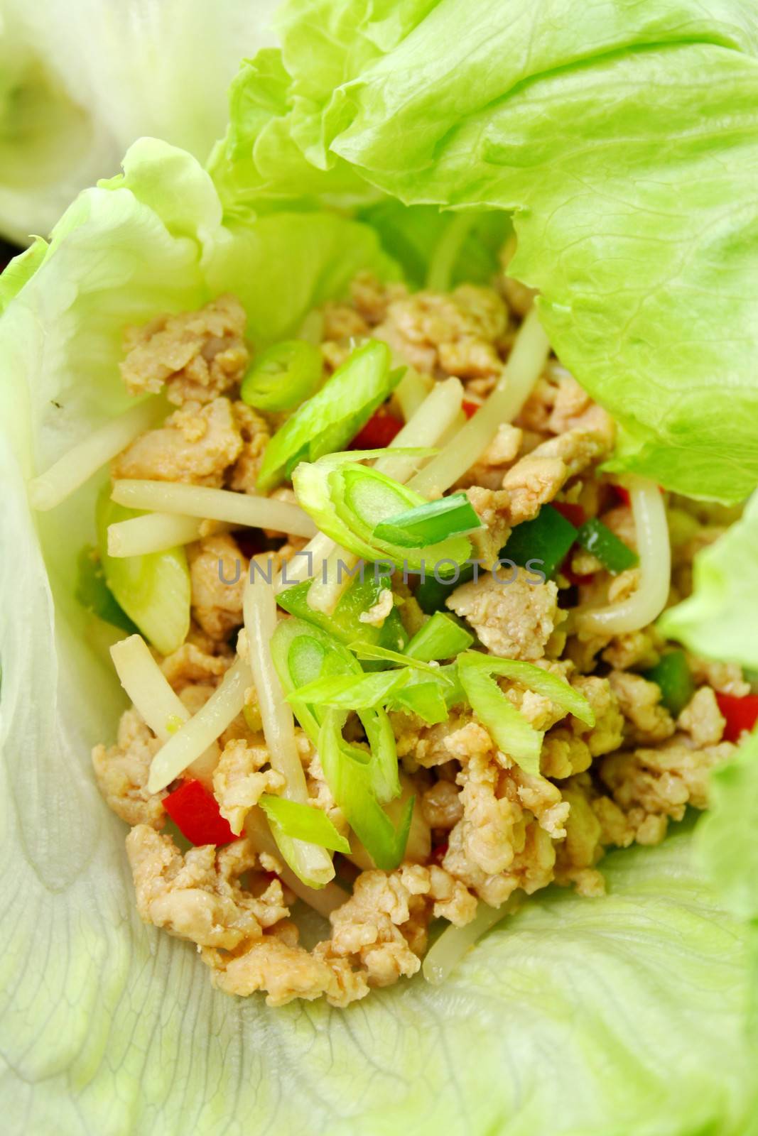 Delicious San Choy Bow with minced chicken and Chinese vegetables wrapped in fresh lettuce leaves.