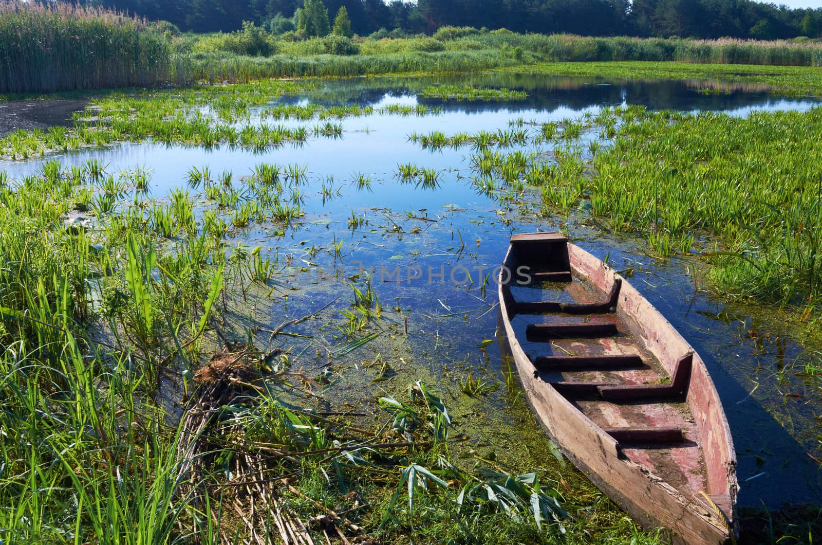 Wooden rotten boat on the lake on a summer morning