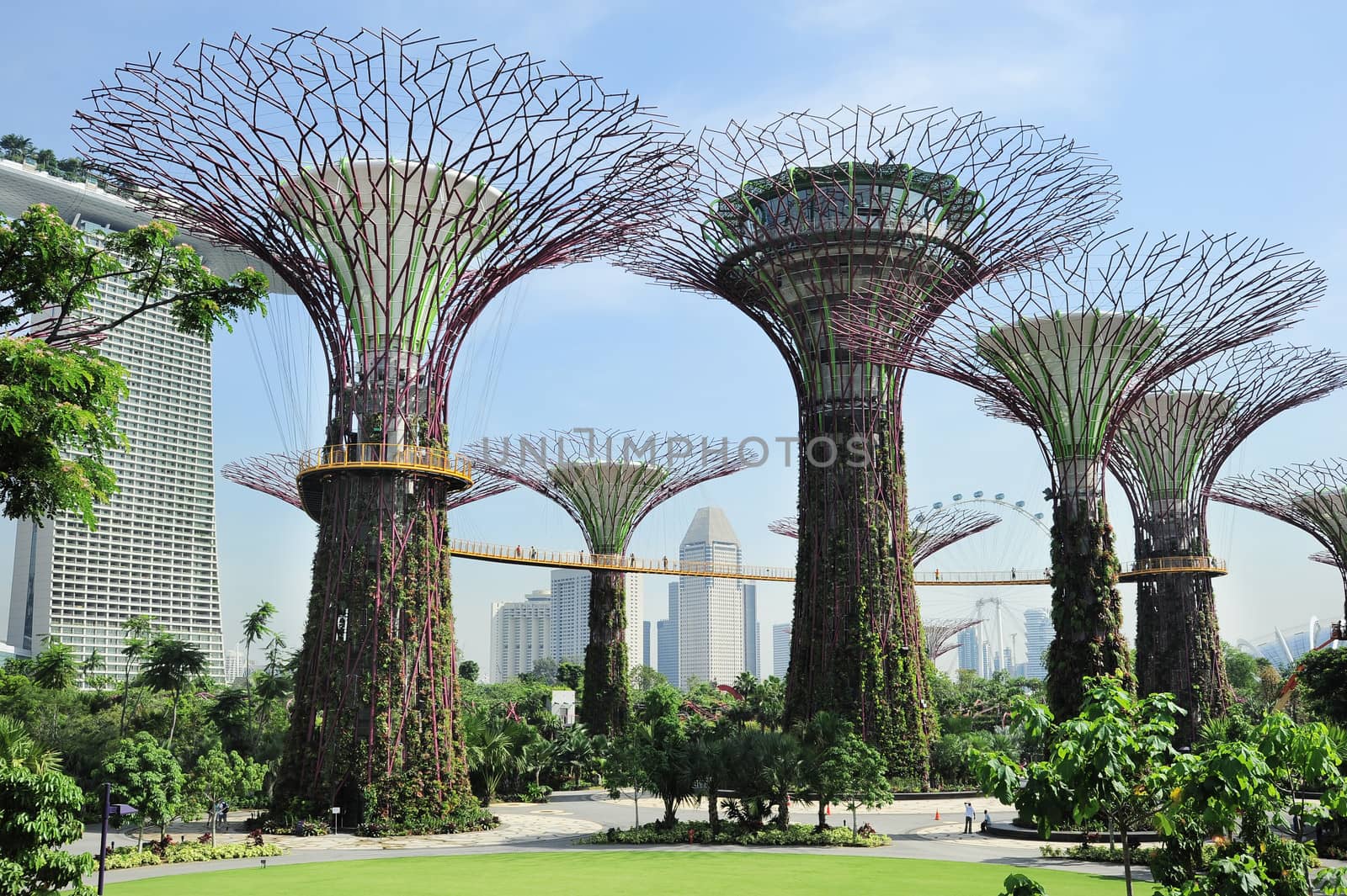 Singapore, Republic of Singapore -  May 09, 2013: People walking on the bridge at Gardens by the Bay in the morning. Gardens by the Bay was crowned World Building of the Year at the World Architecture Festival 2012