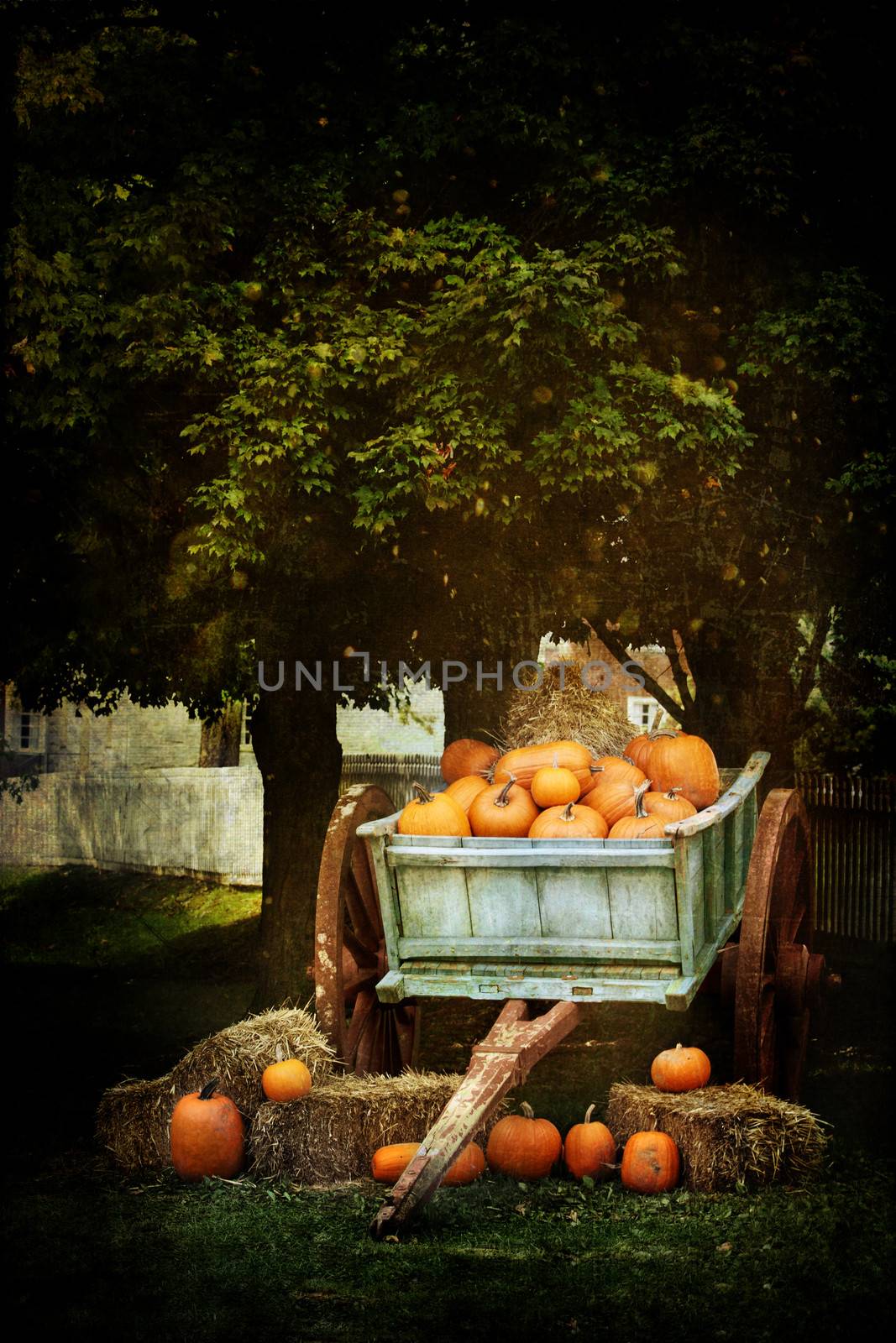 Wagon load full of pumpkins under a shady oak tree for sale with a painterly effect.