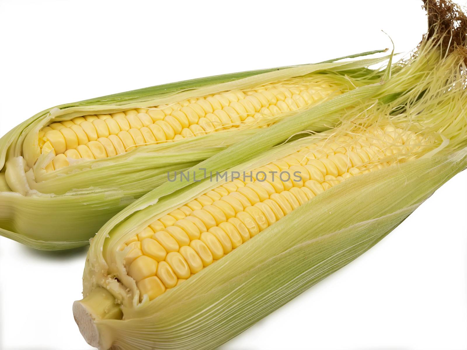 fresh corn with green leaves isolated on white background