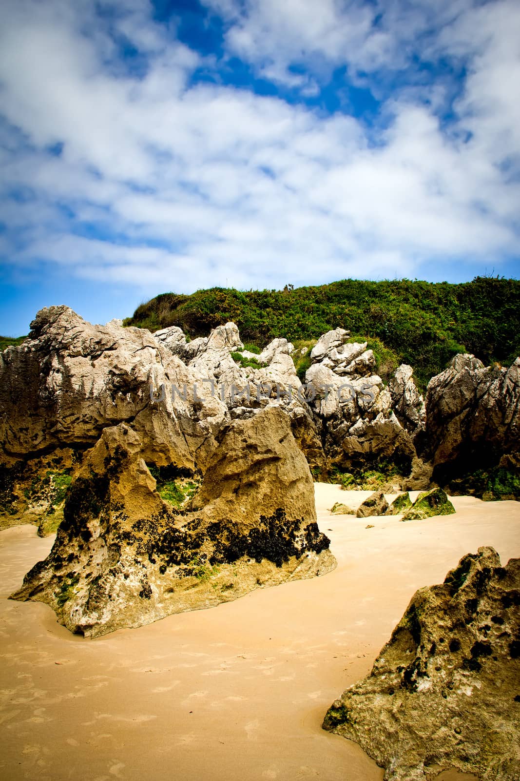 rocky beach by marco_govel