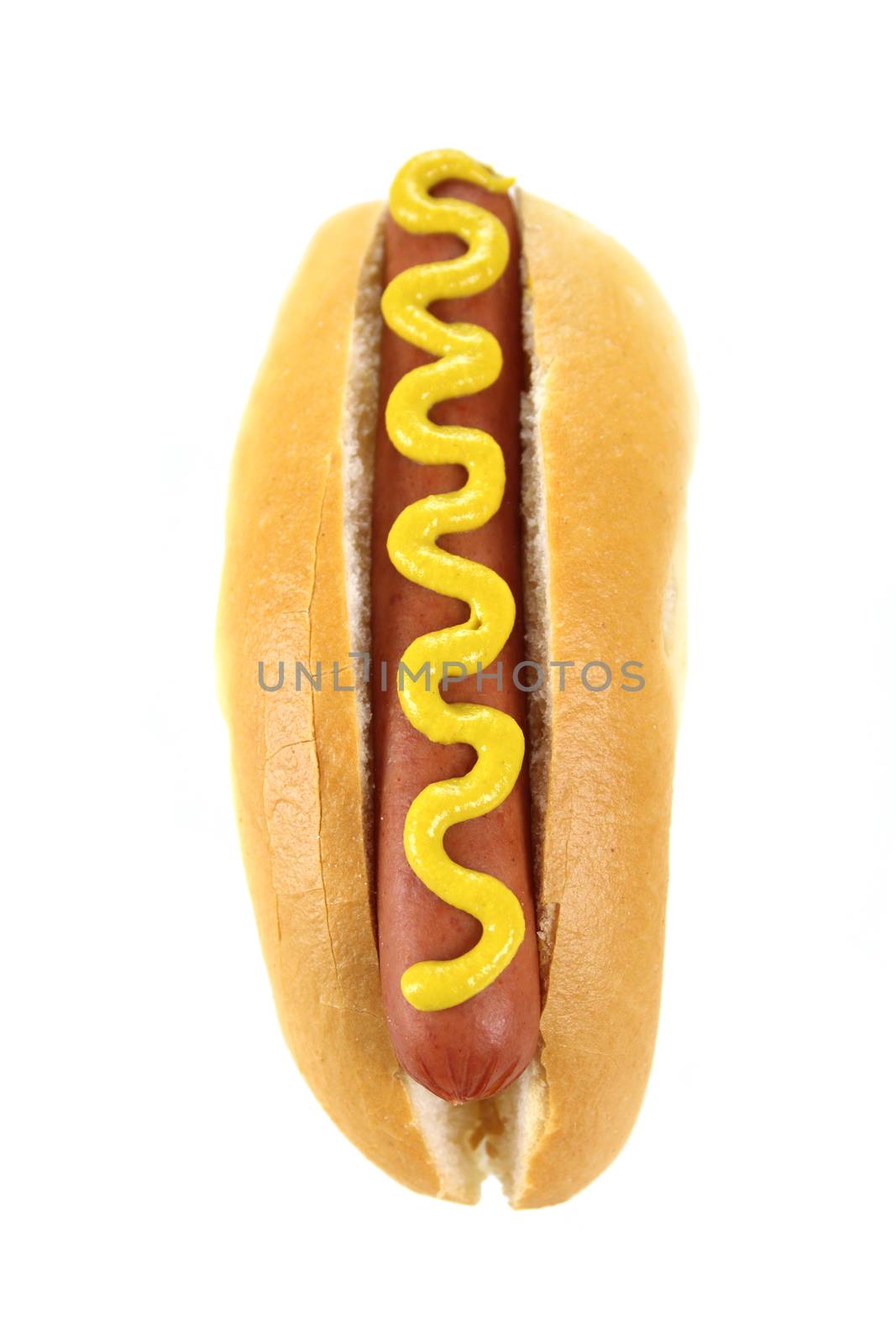 Hot Dog by jabiru