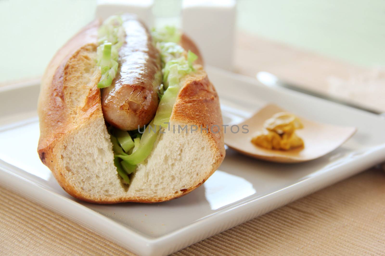 Pork And Cabbage Hot Dog by jabiru