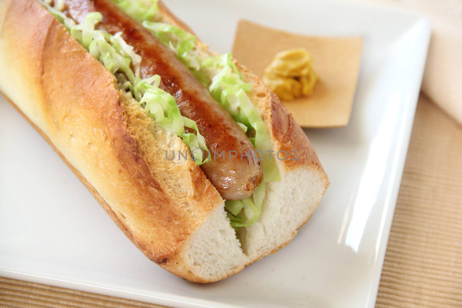 Delicious hot dog with a fried pork sausage with cabbage and hot mustard.