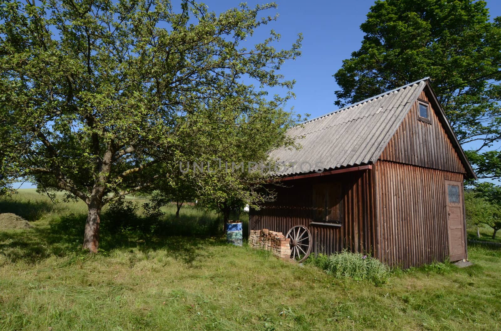 cabin