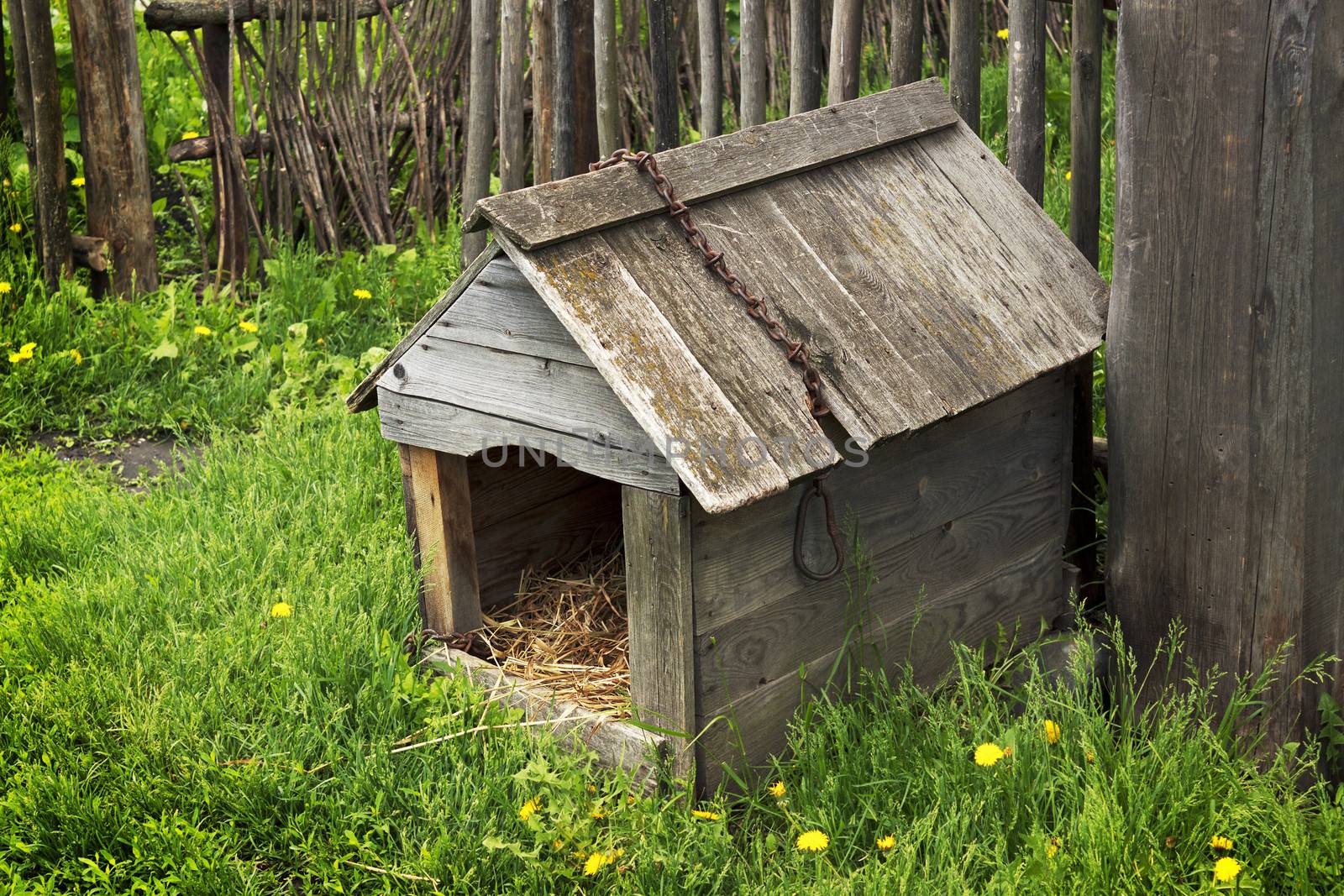 Doghouse in Russian village of the nineteenth century