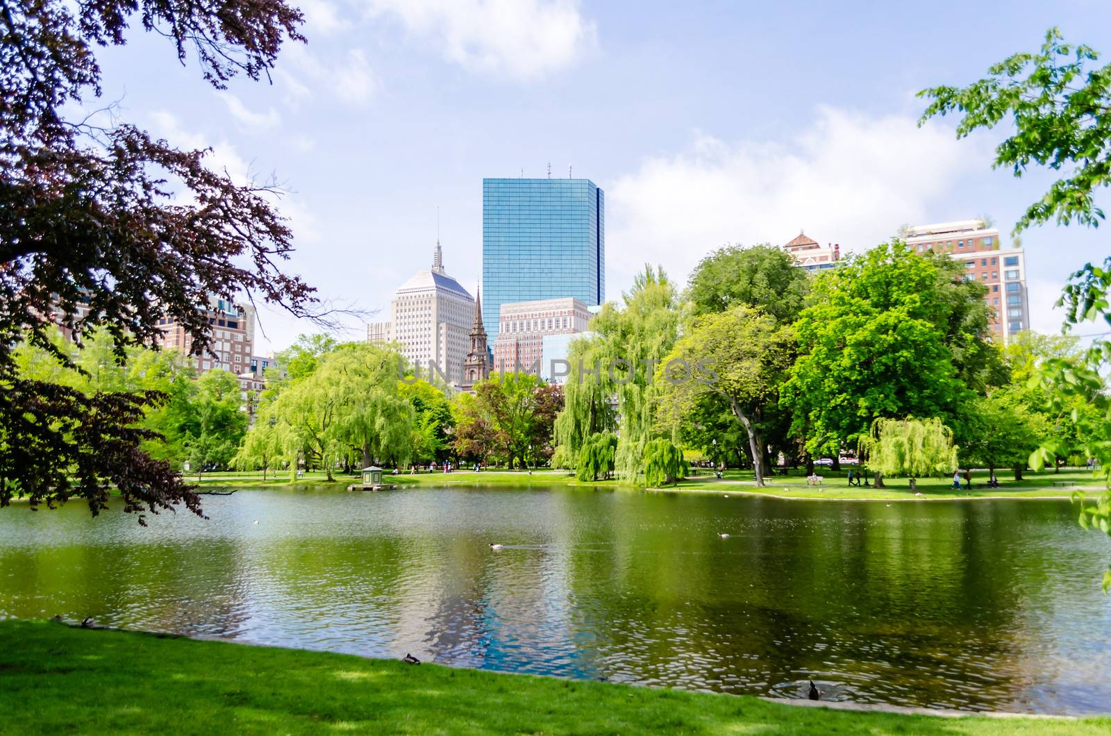 Boston Public Garden on a sunny day