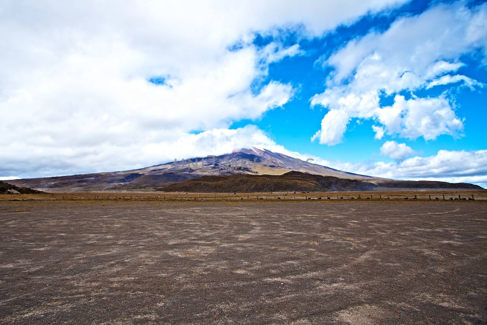 Cotopaxi Volcano in the background of blue sky and clouds by jannyjus