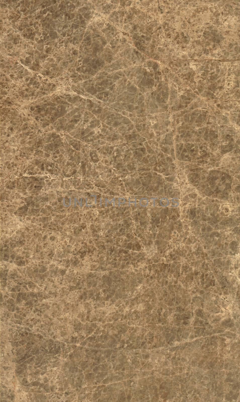 Brown marble texture background (High resolution scan)