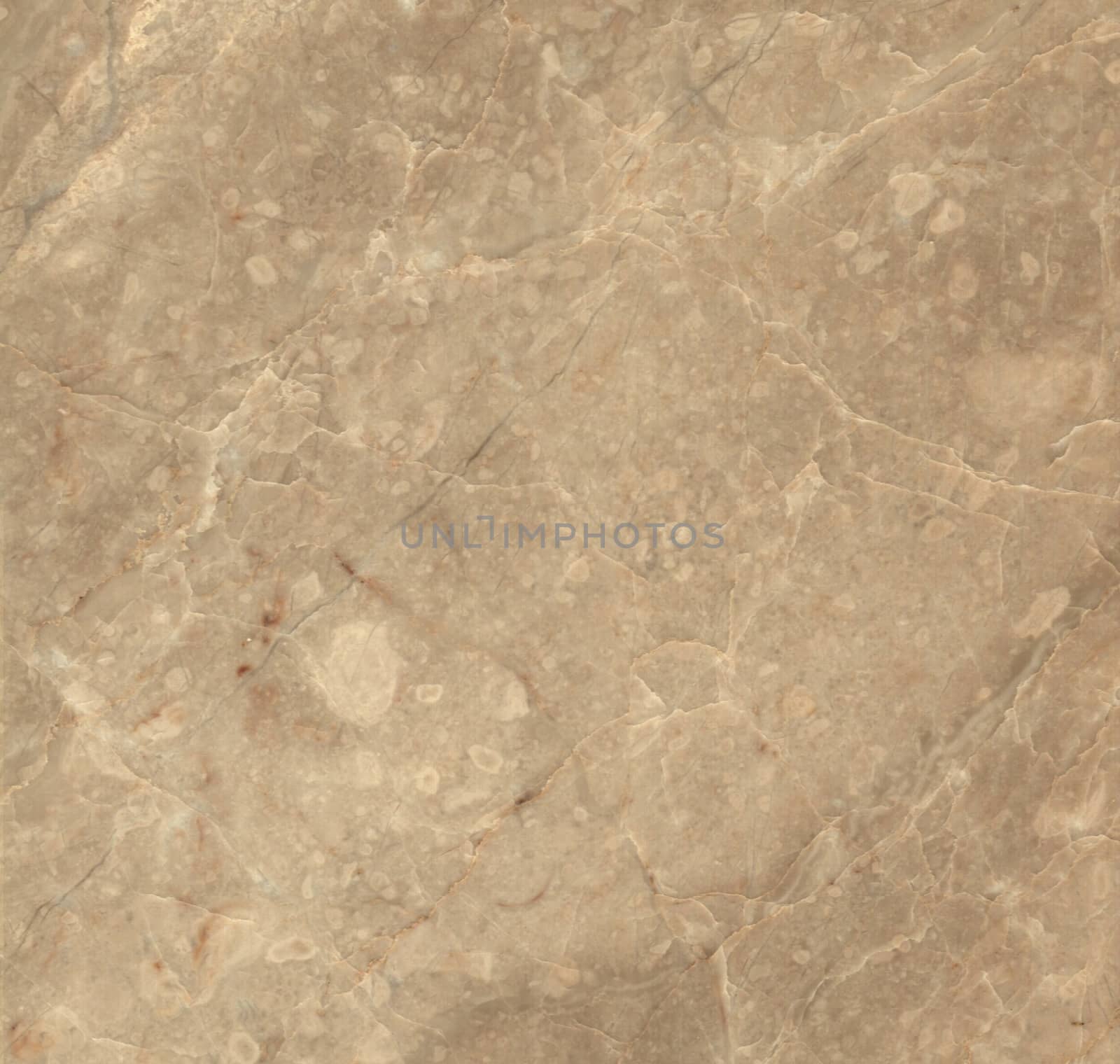 Brown marble texture background (High resolution scan)