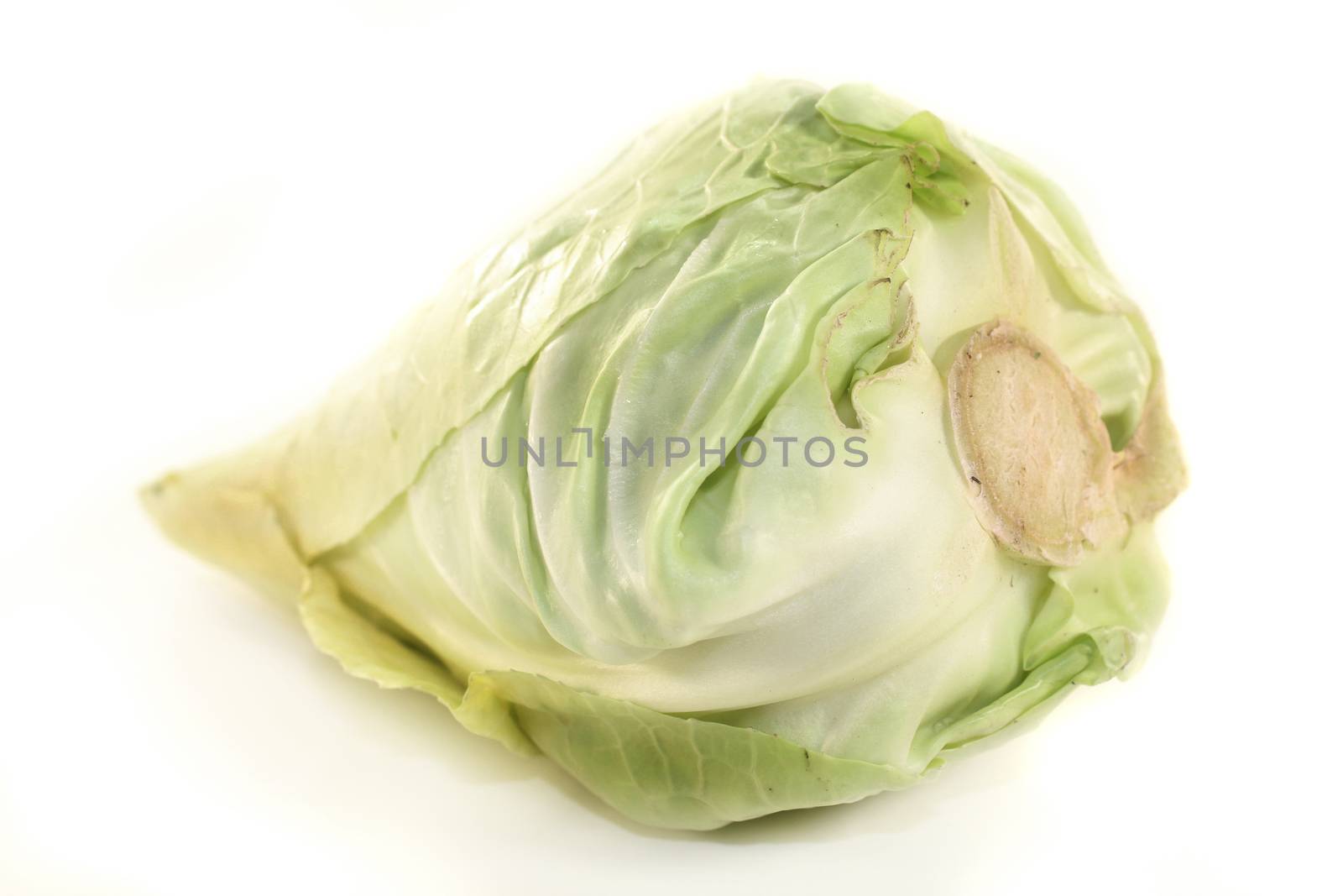 a raw cabbage against white background