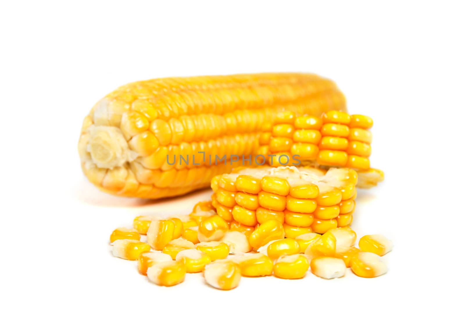 Fresh corn isolated on white background