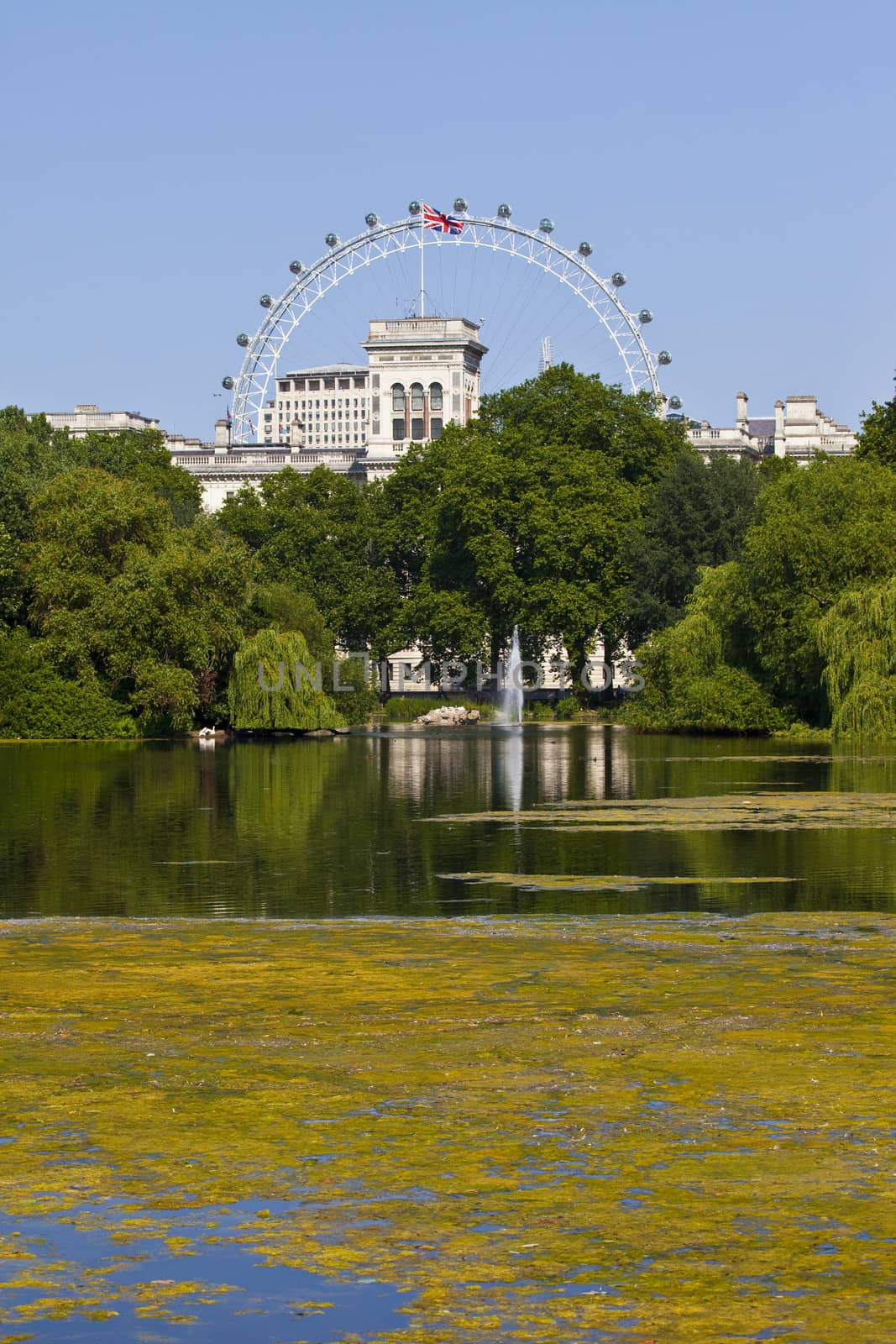 The beautiful view from St. James's Park in London.