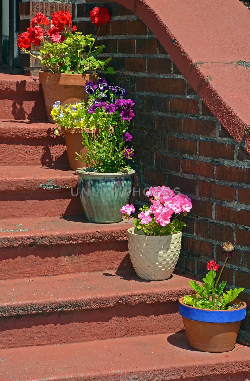Colorful flowerpots sitting on old stairs