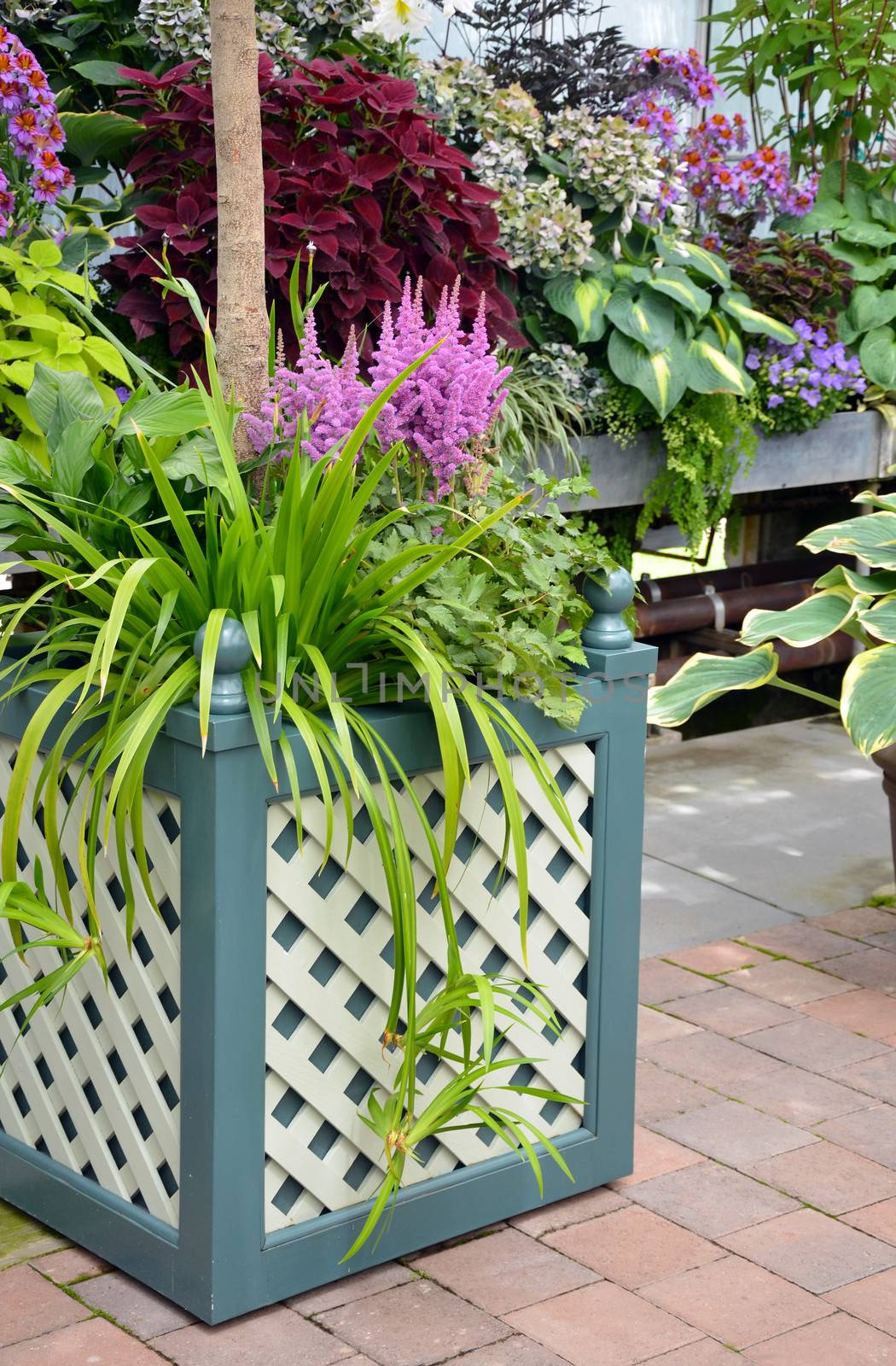 Patio with colorful tropical plants and flowers