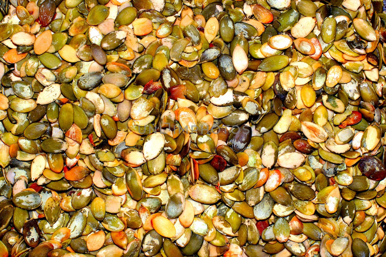 pumpkin seeds background close up