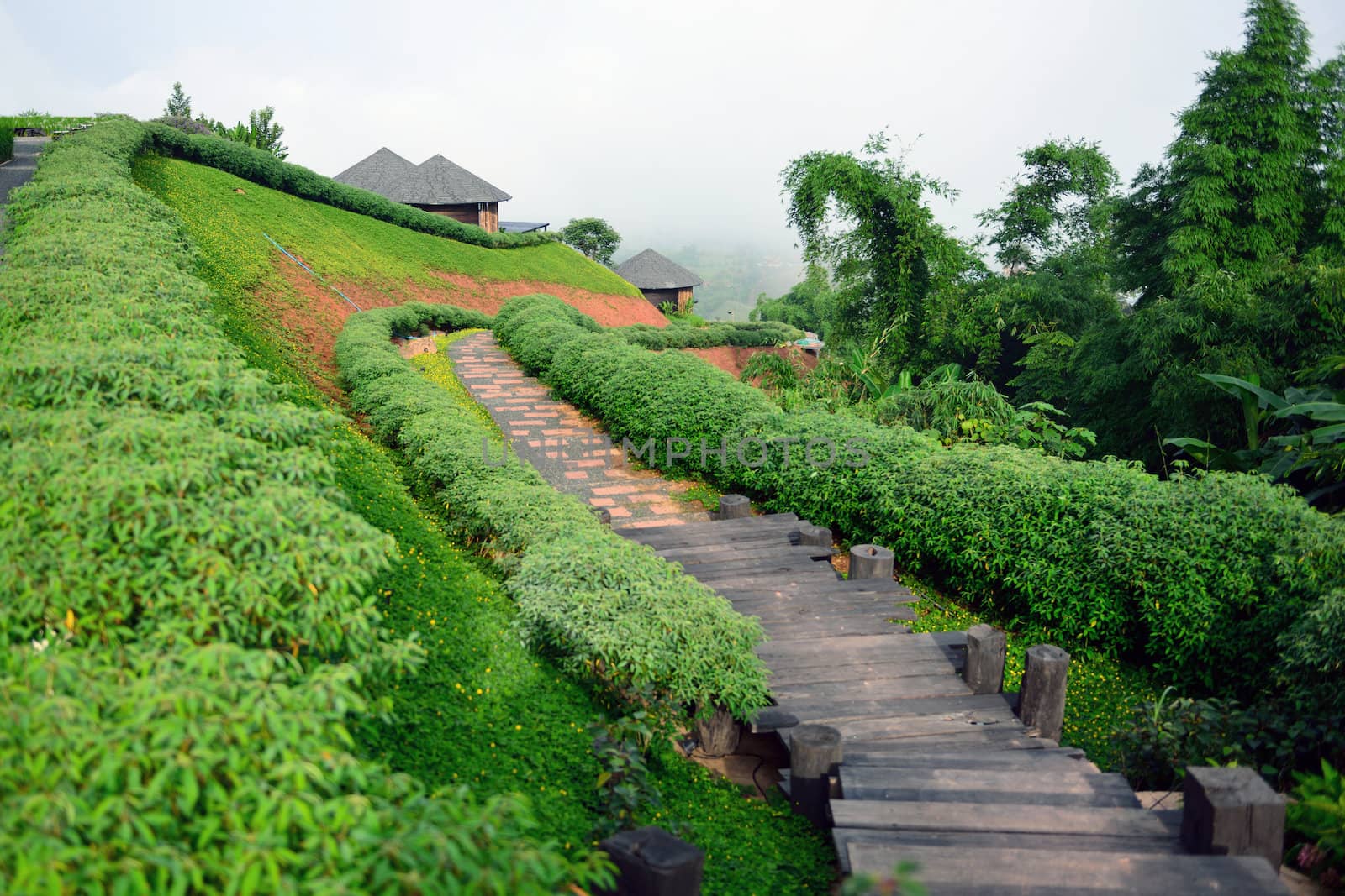 the wooden walkway along with the slope garden on the hill