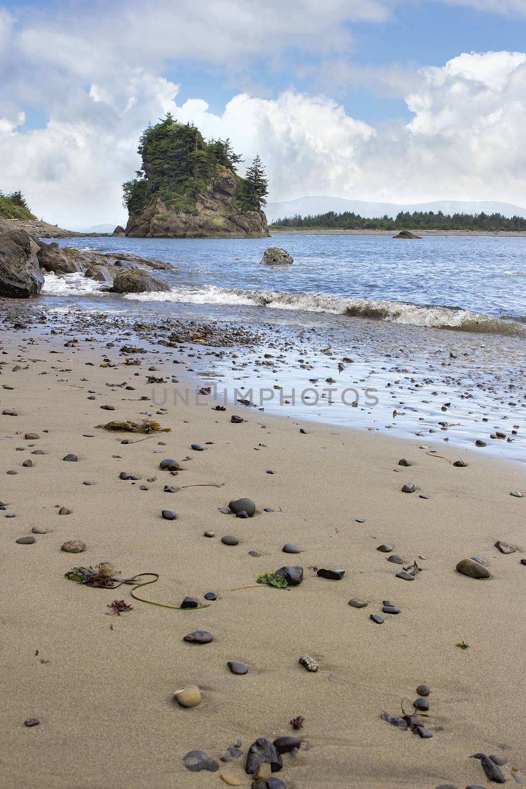 Beach at Garibaldi Oregon Coast Pig and Sow Inlet with Trees on Haystack Rock