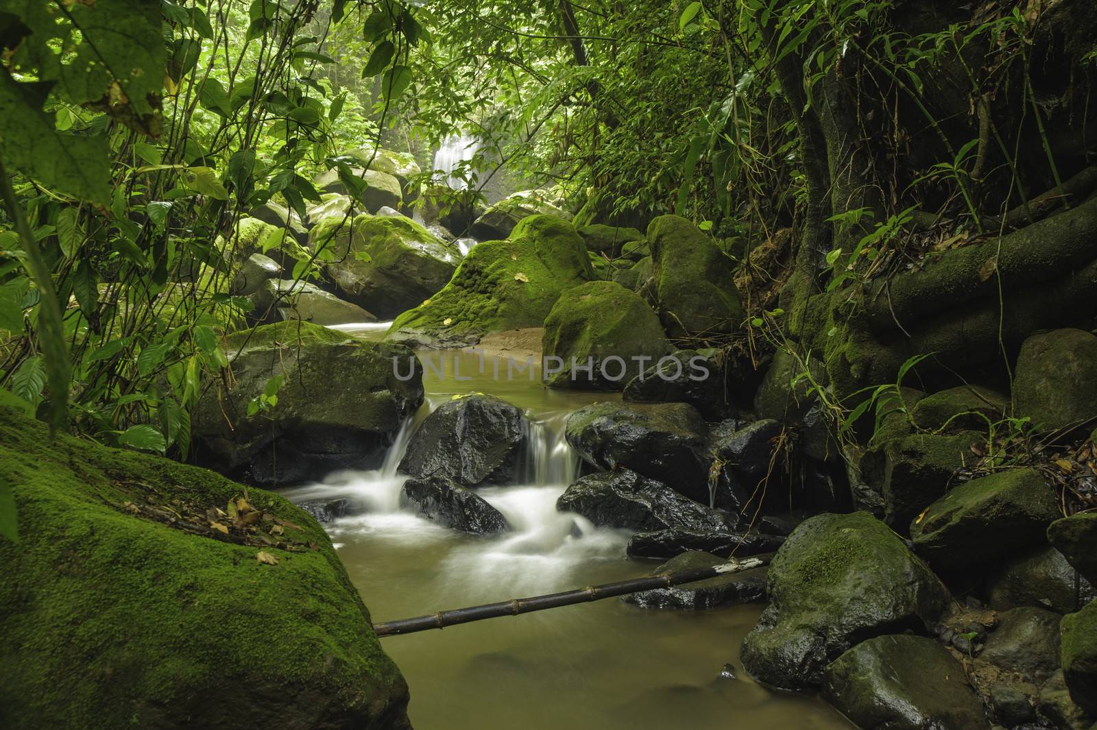 Small mountain stream in a rainforest in Costa Rica