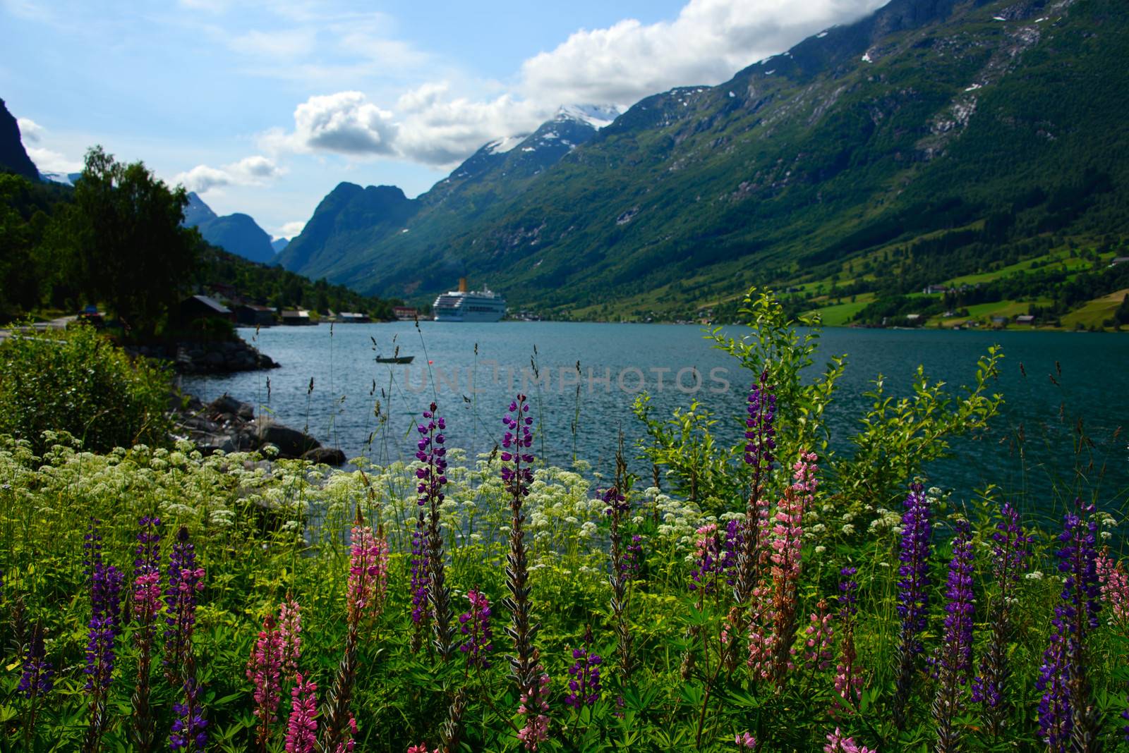 A typical scene from the Norwegian fjords during the summer with wildflowers, mountains, sunshine and a cruise ship in the distance.
