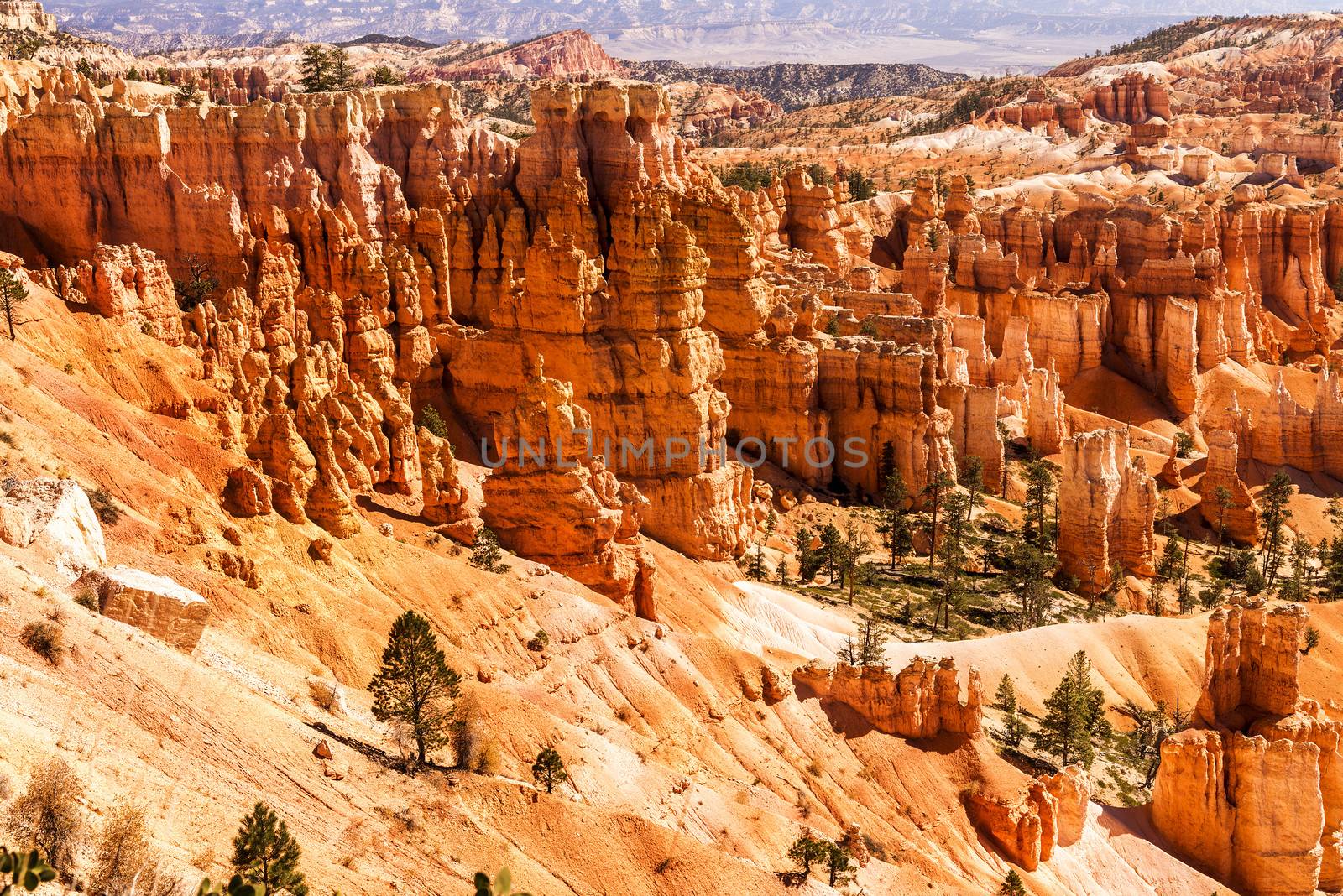 spectacular Hoodoo rock spires of Bryce Canyon, Utah, USA