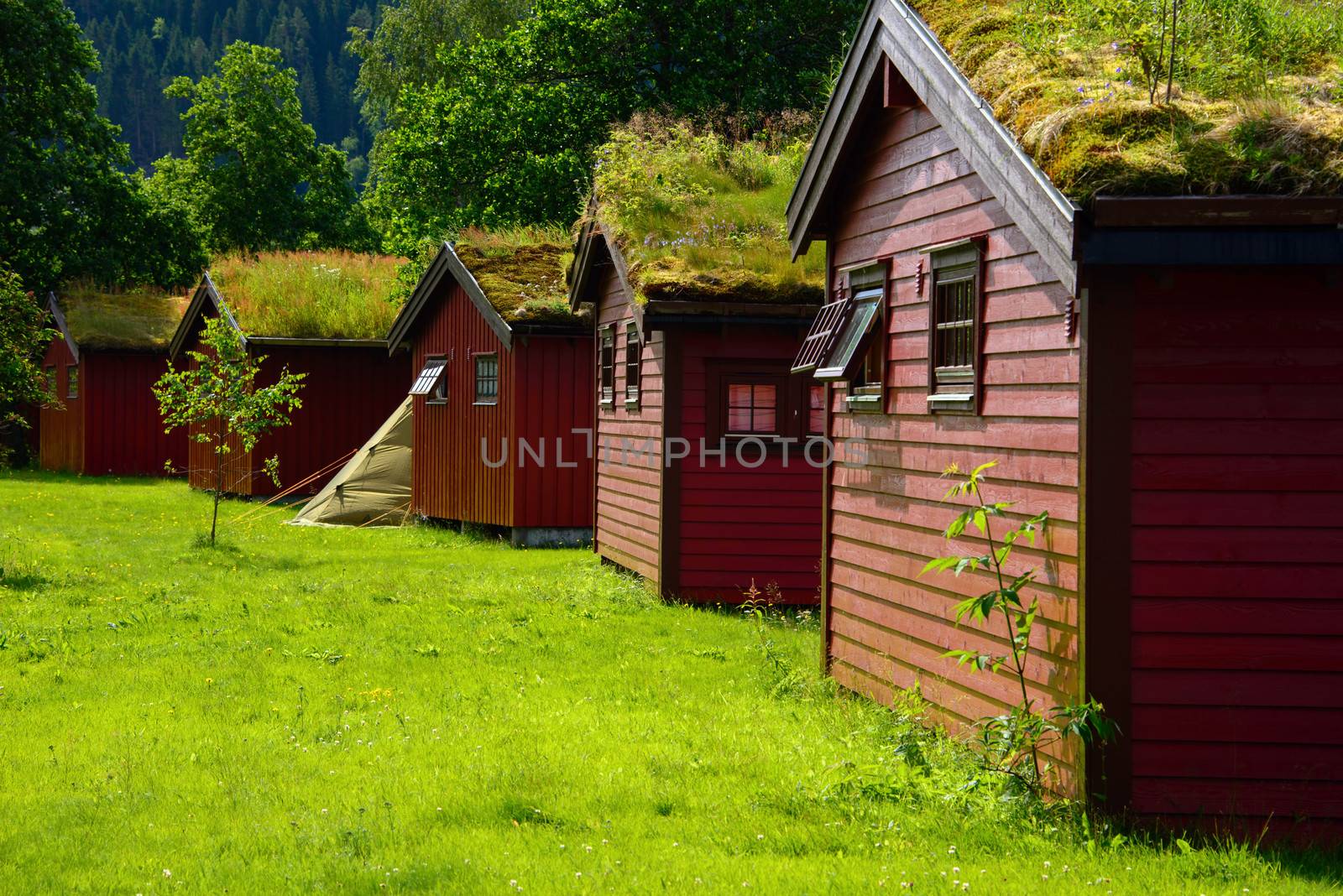 Cabins for rent by GryT