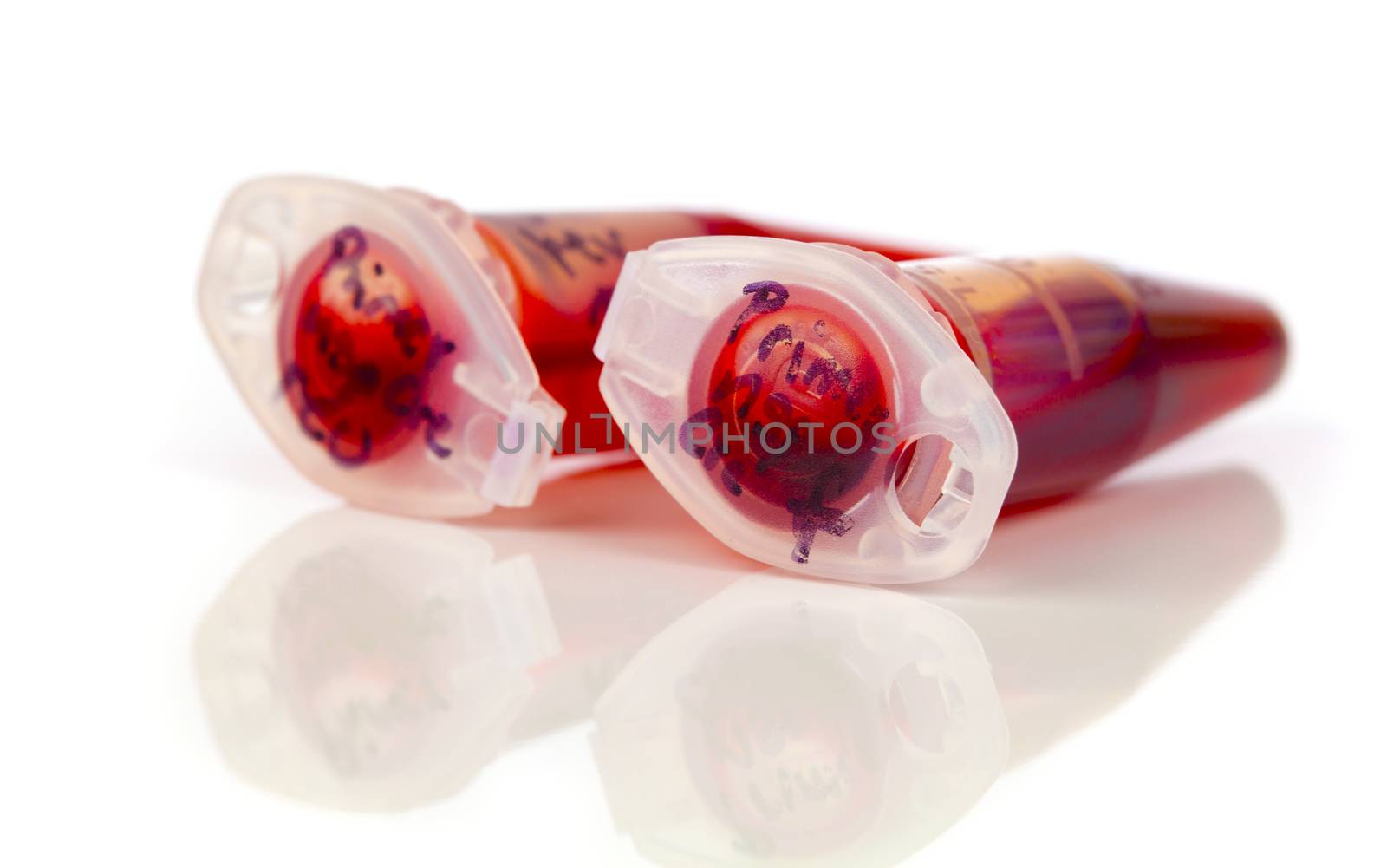 Sample of stem cells in the reaction tube, isolated on white background
