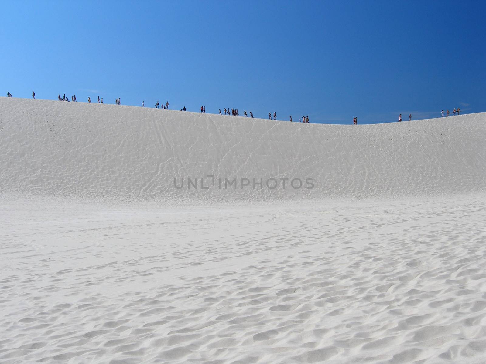 Africa people going on the dune full sunny day