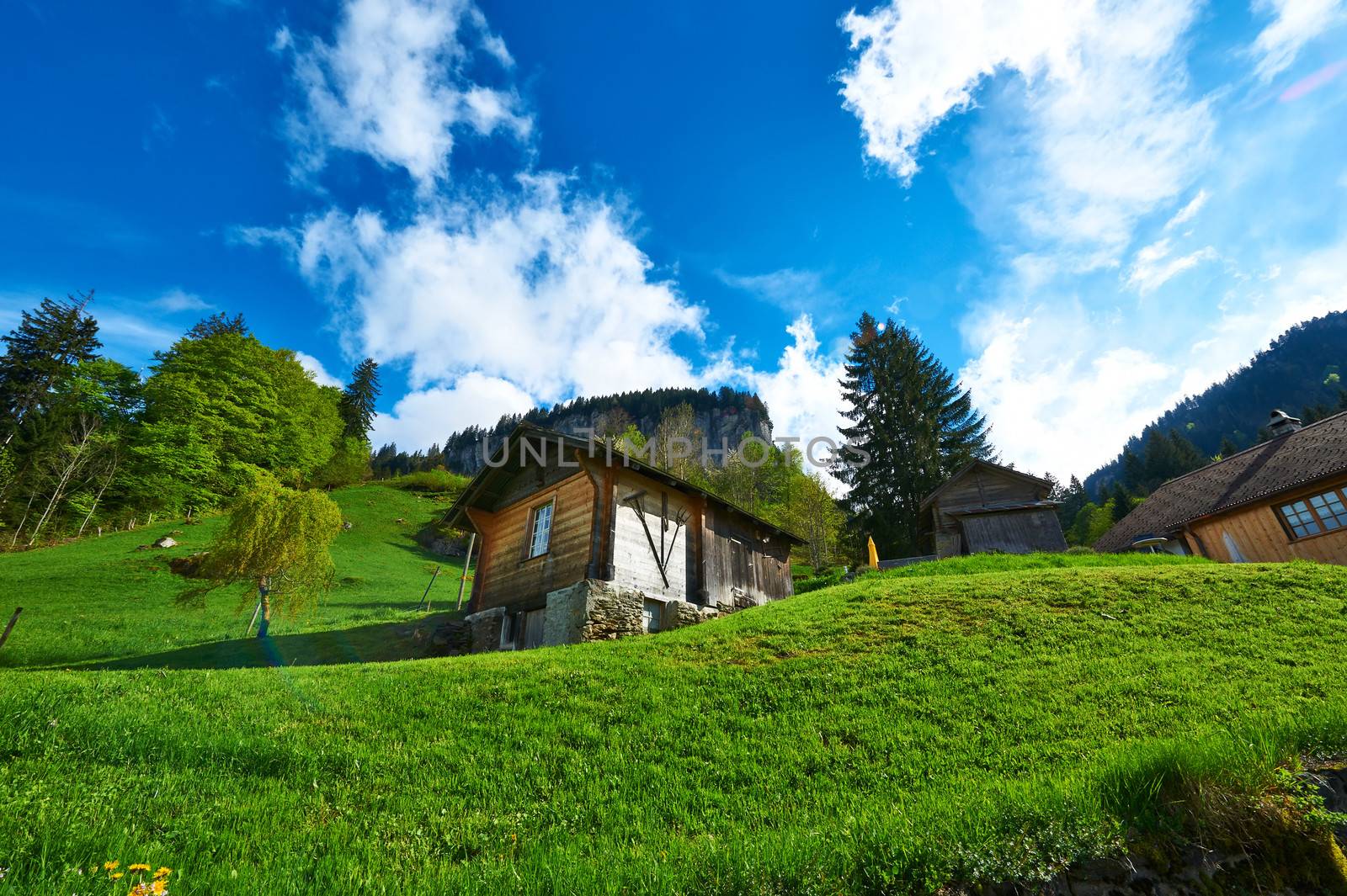 Swiss chalet near Reichenbach in Switzerland