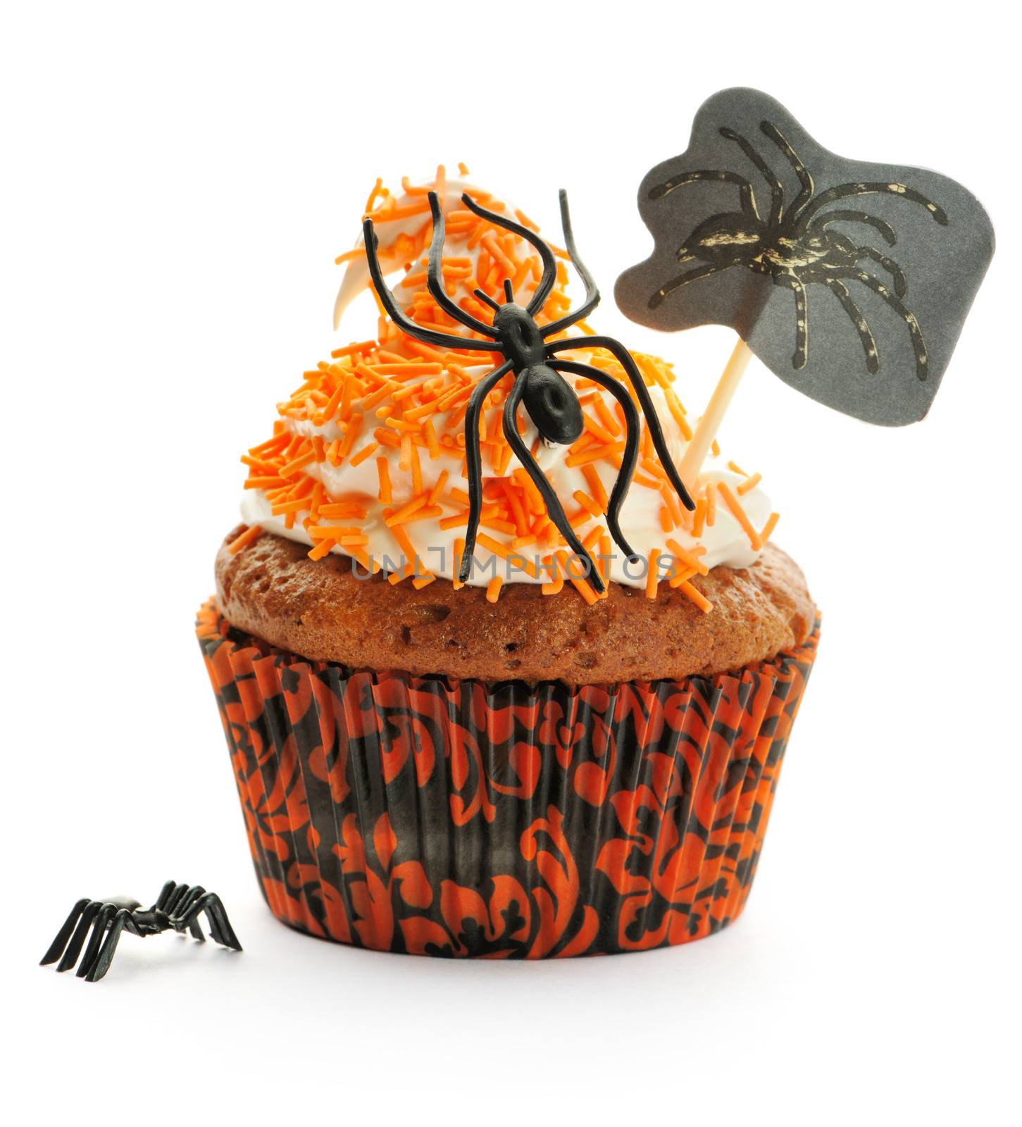 Halloween cupcake with decoration isolated on white