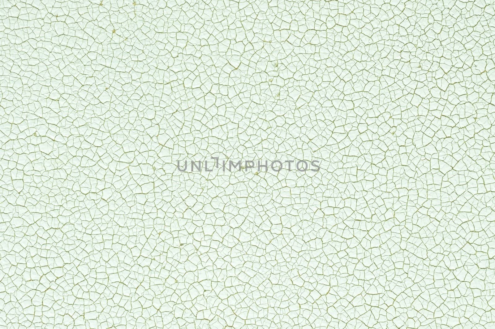 Close up texture of White cow leather with crack for use as Background