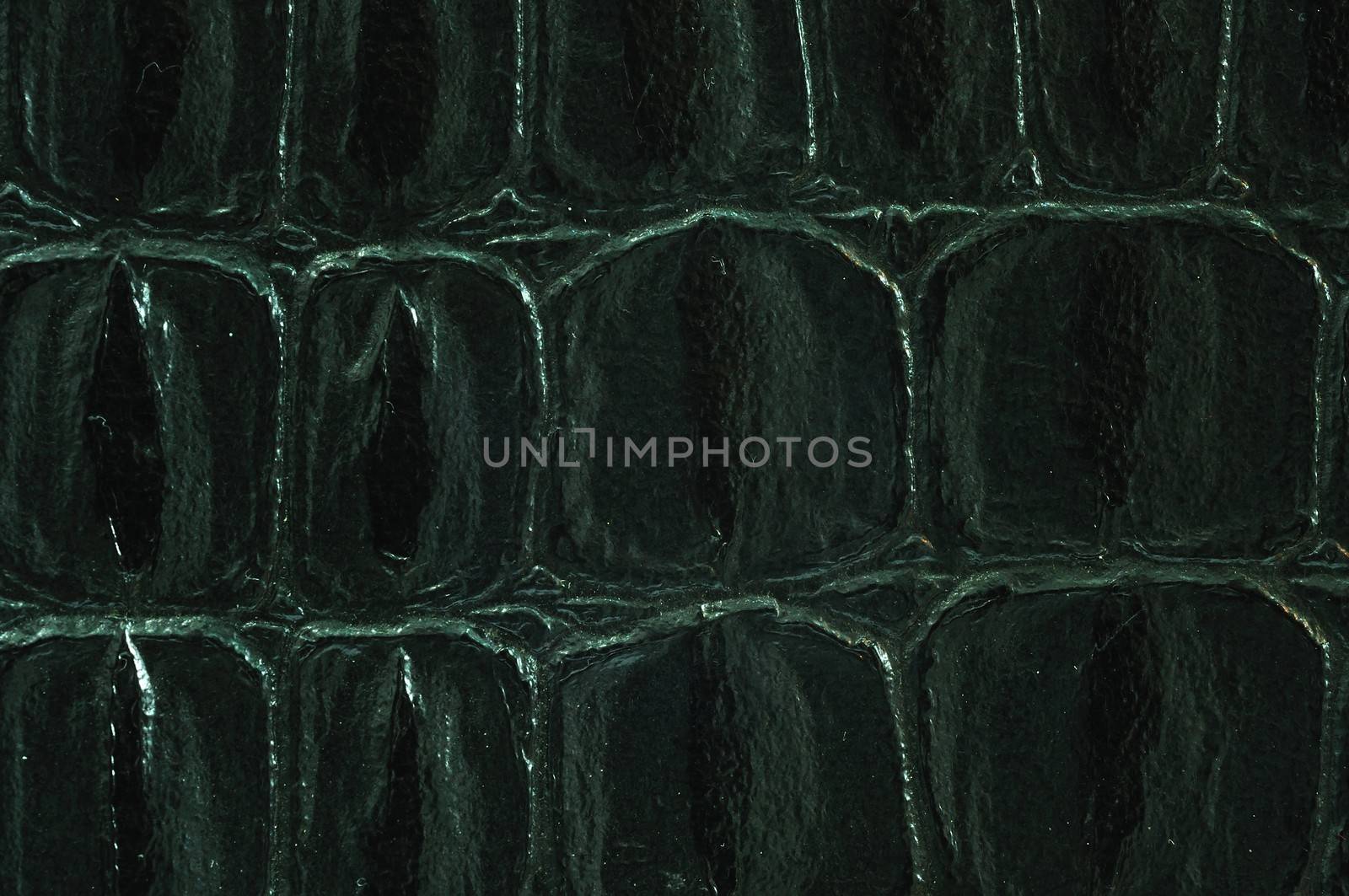 Close up texture of Black snake skin or leather for use as Background