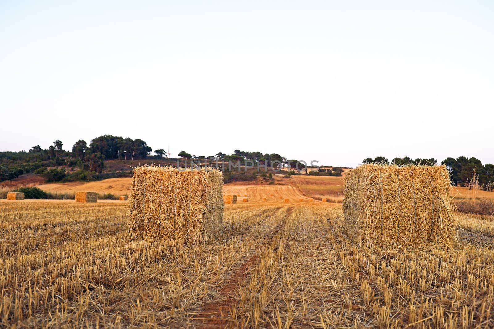 Hay bales in the fields from Portugal at sunset