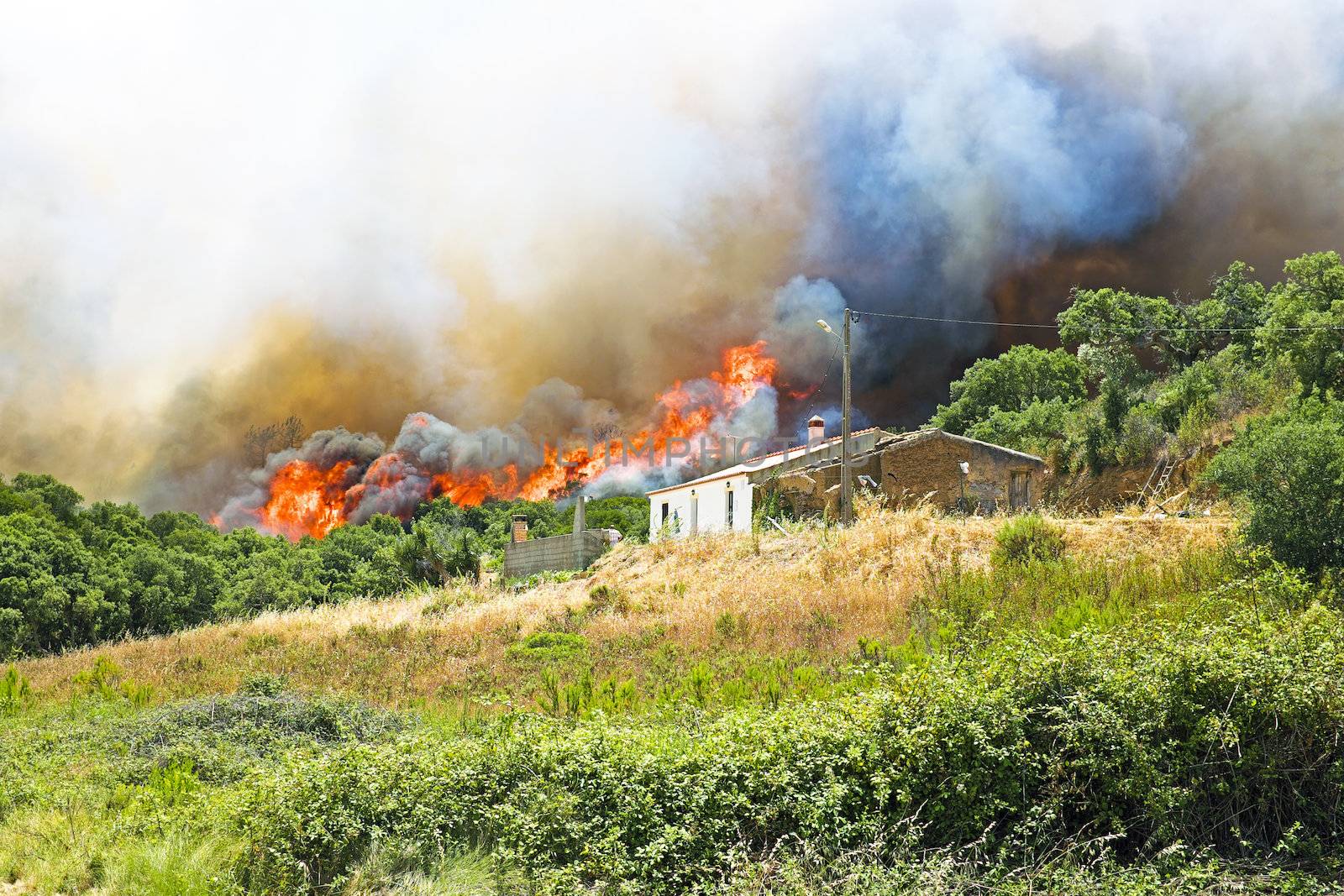 Huge forest fire threatens homes in Portugal
