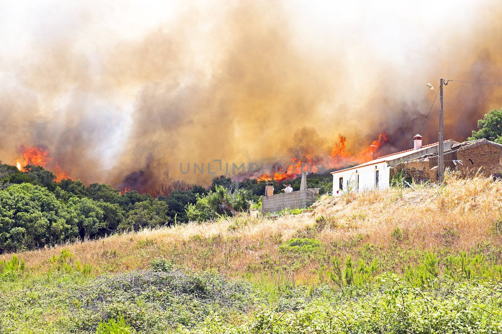 Huge forest fire threatens homes in Portugal
