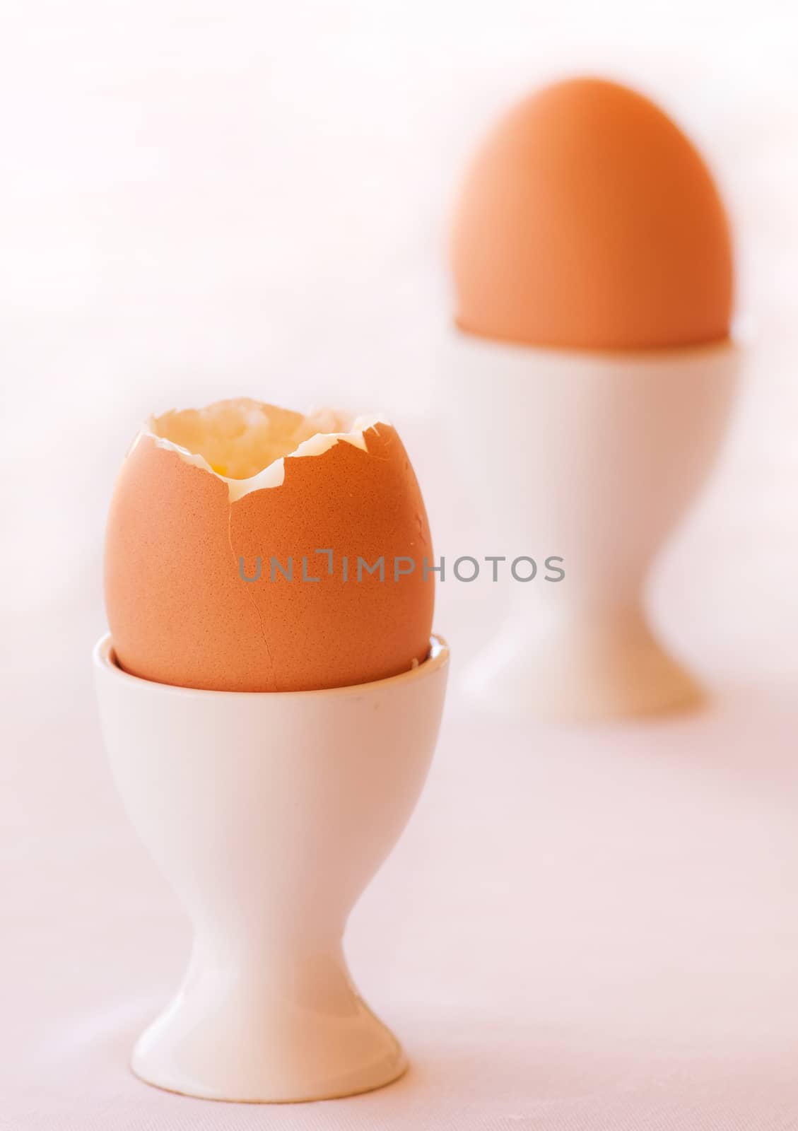 Boiled Egg isolated on a white background