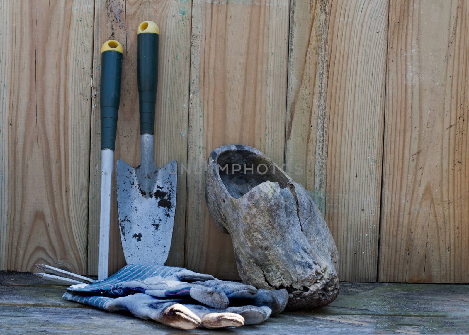 garden tools gloves and wooden shoe on a wooden shelf