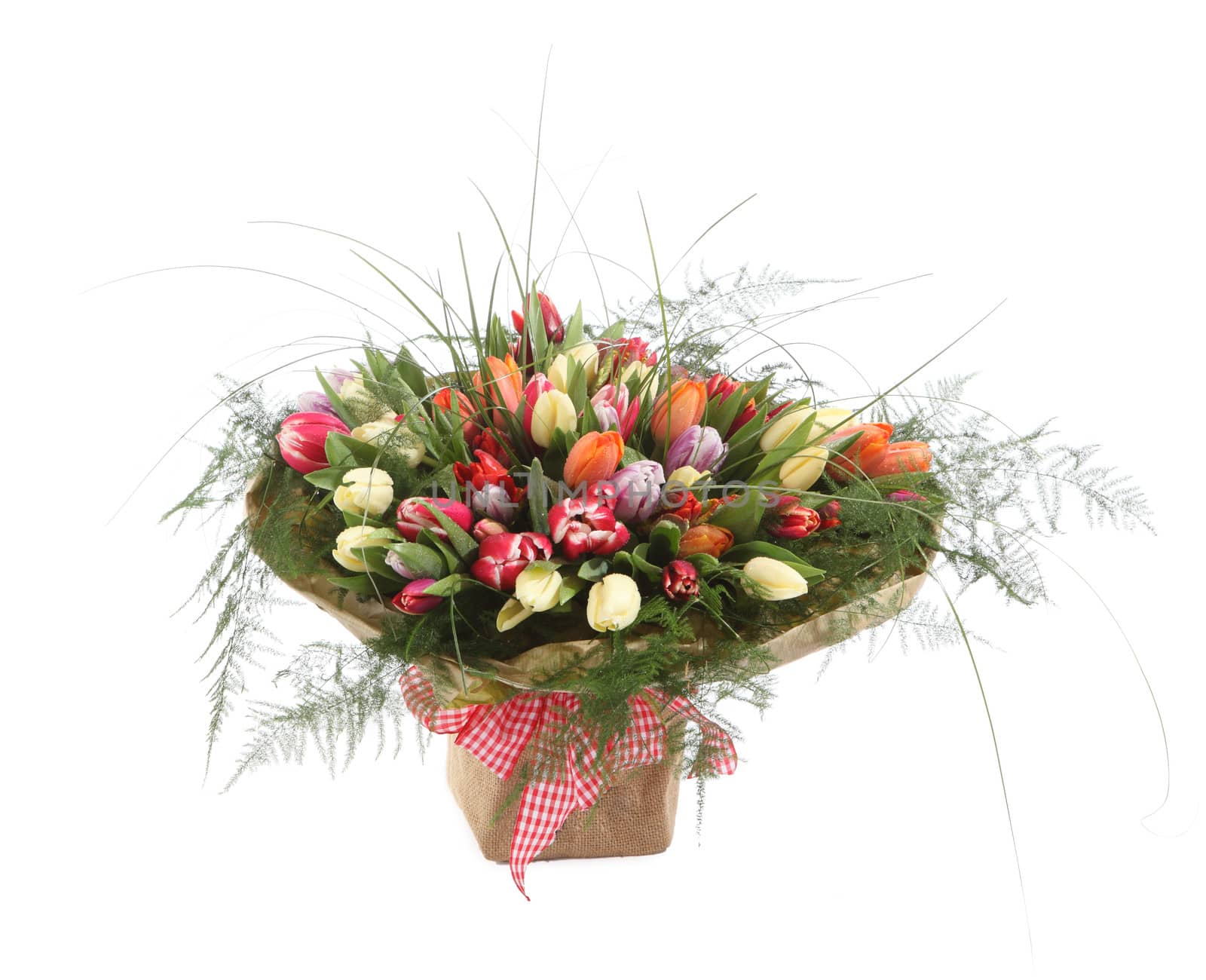 A large bouquet of color tulips in a square vase. Square floral arrangement of tulips of different colors. The isolated image on a white background. by grigvovan