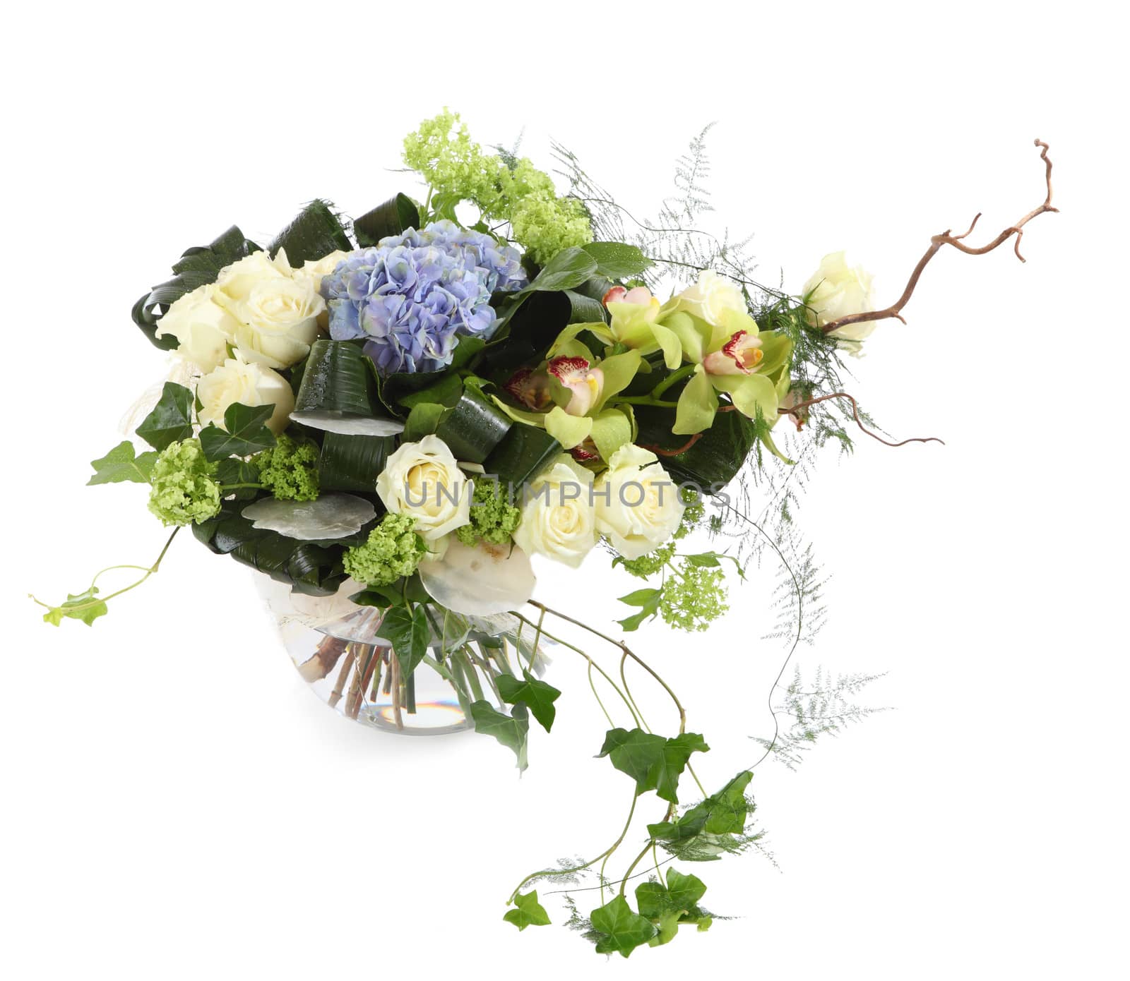 Flower composition of white roses, ivy and orchids, isolated image on a white background. Bouquet of decorative Flowers. Floral arrangement 