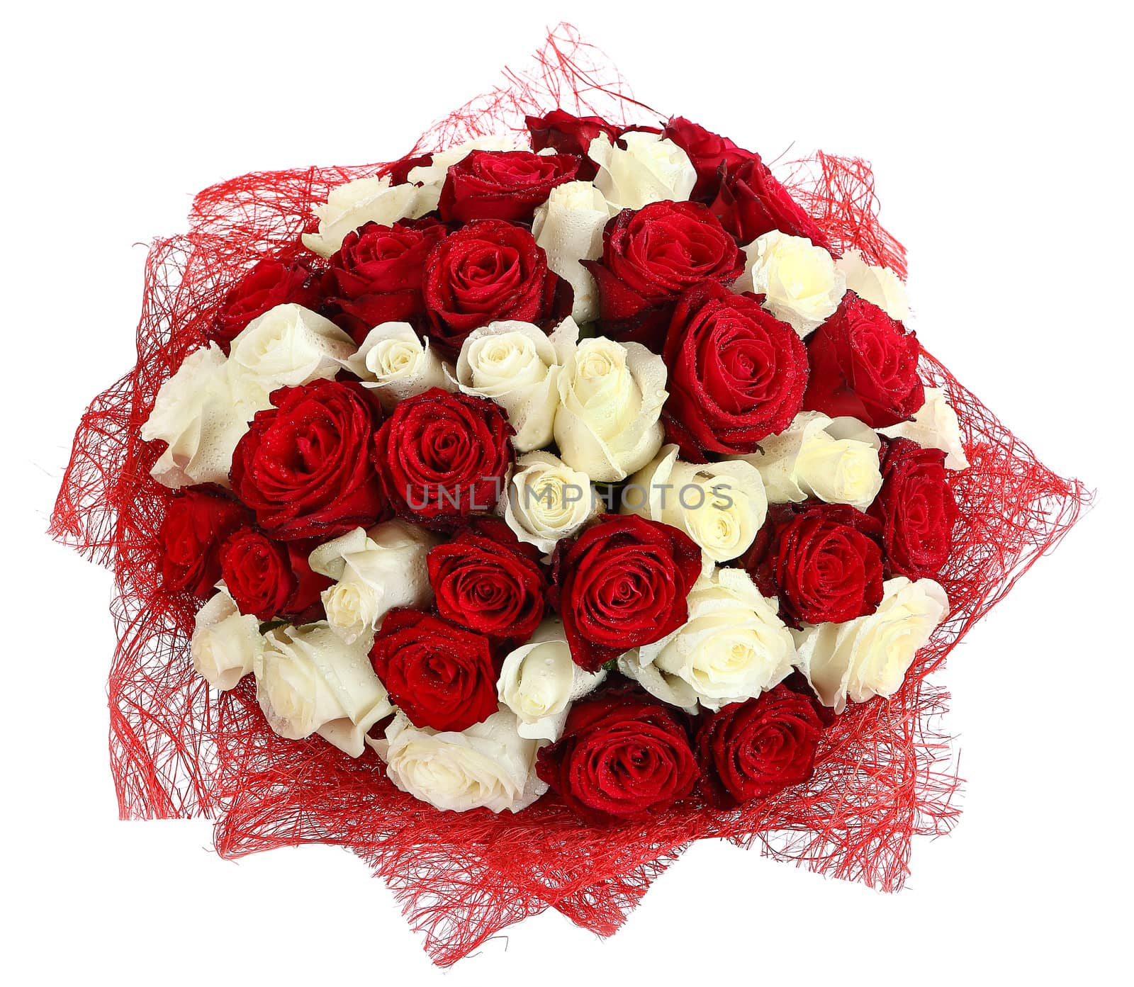 Floristic arrangement of white and red roses. Floral compositions of red and white roses. The isolated image on a white background. by grigvovan