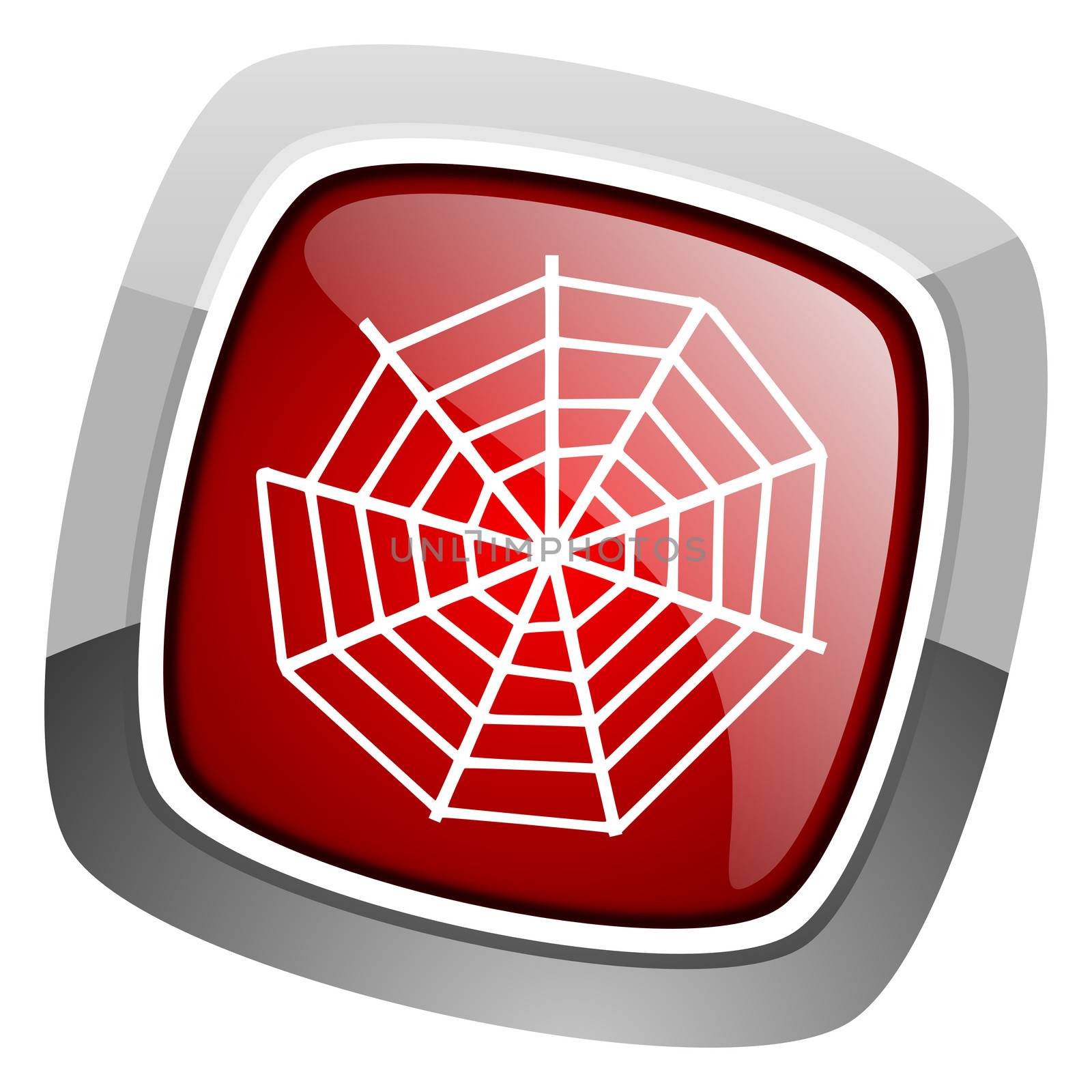 spider web icon by alexwhite