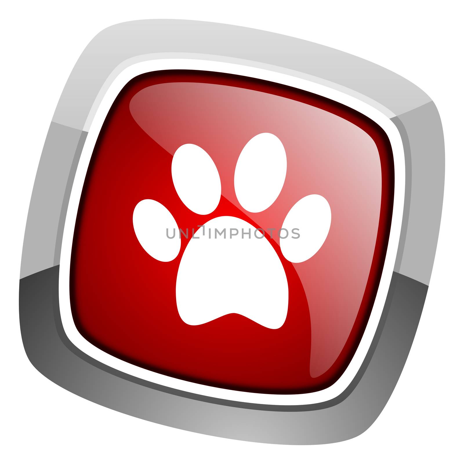 animal footprint icon by alexwhite