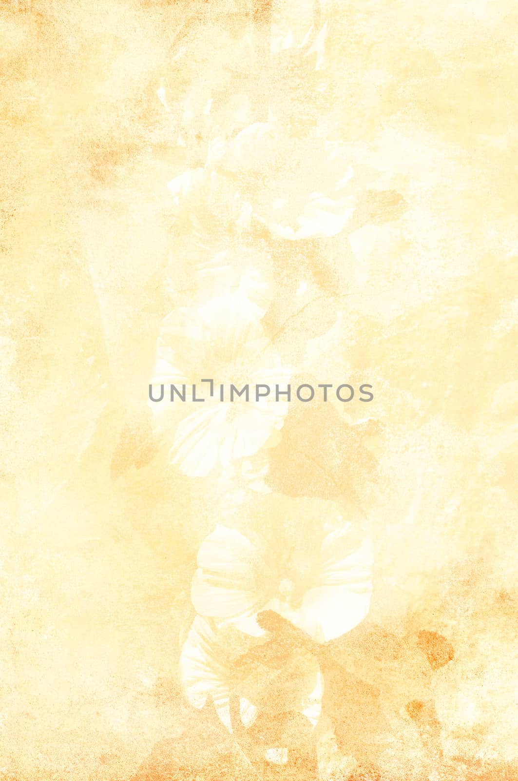 Soft hollyhoch wallpaper pattern vintage style.