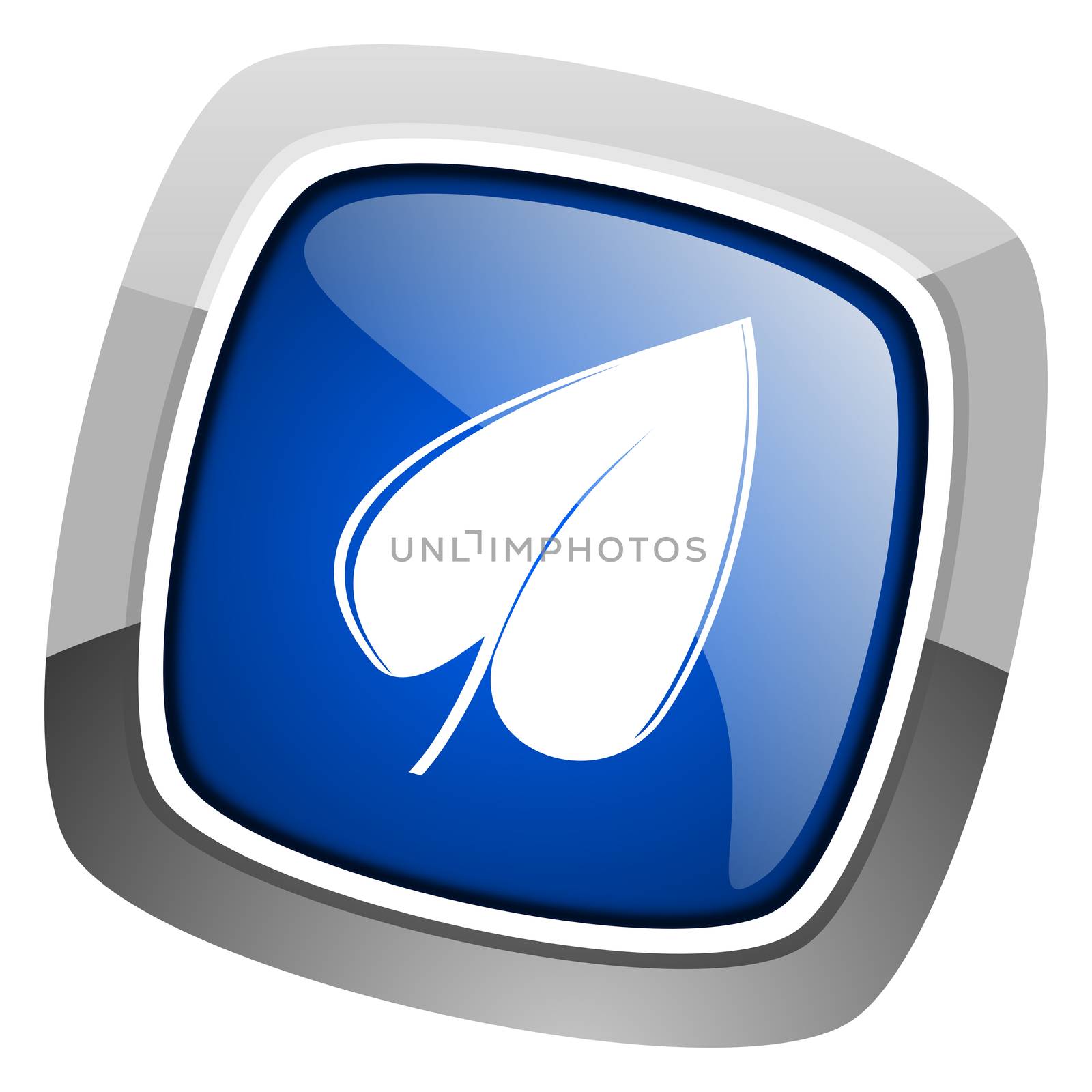 leaf icon