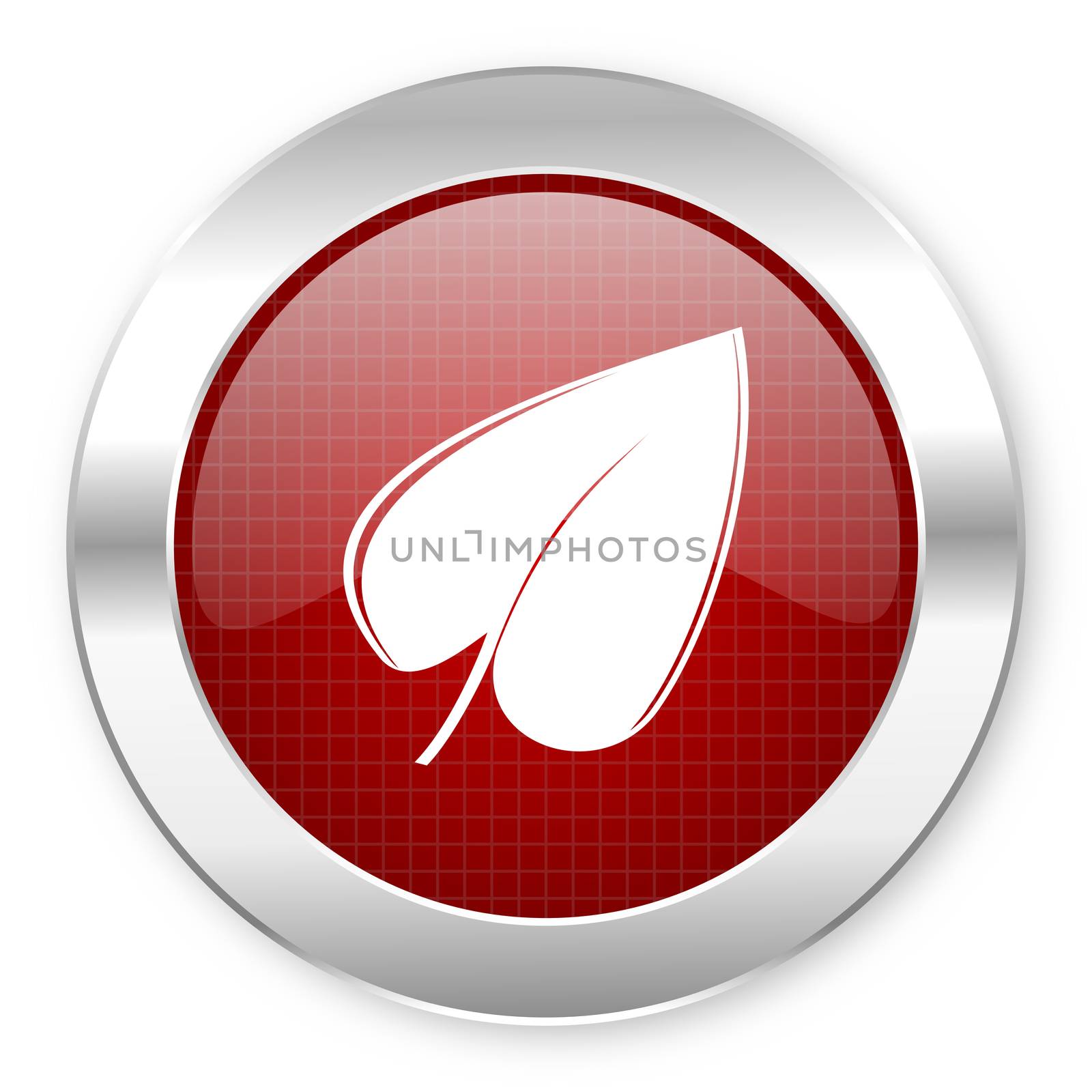 leaf icon