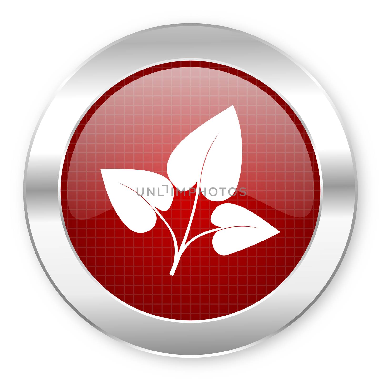 eco icon