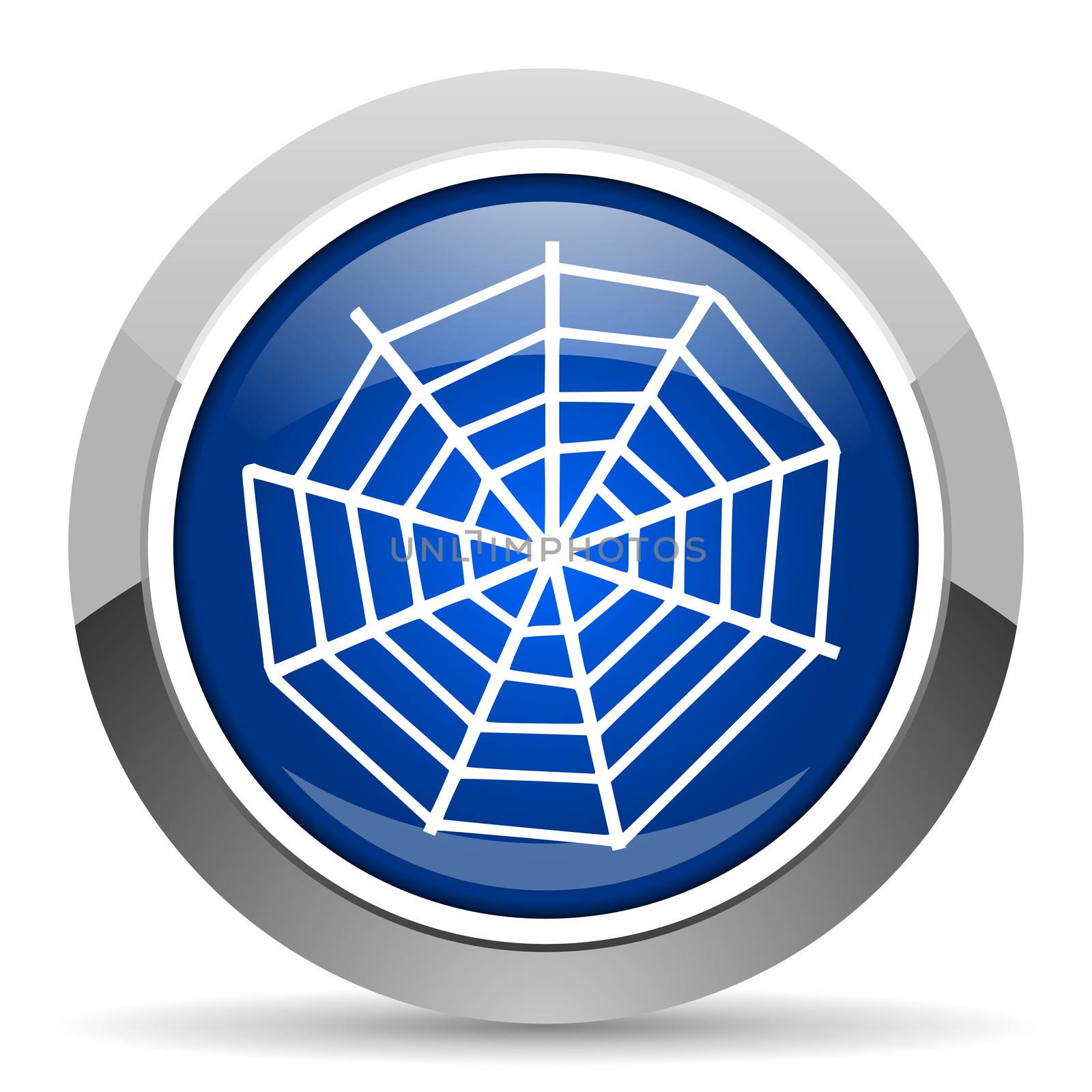 spider web icon